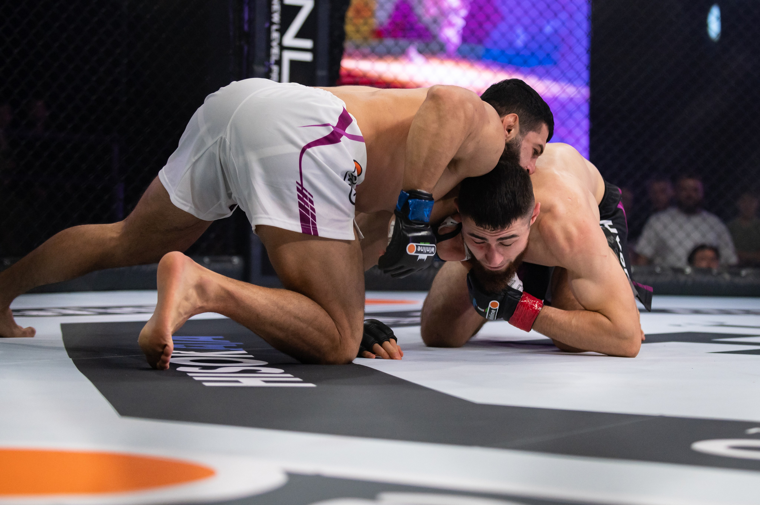 Бои. Репортажный фотограф в Красной Поляне и Сочи Павлюченко Екатерина