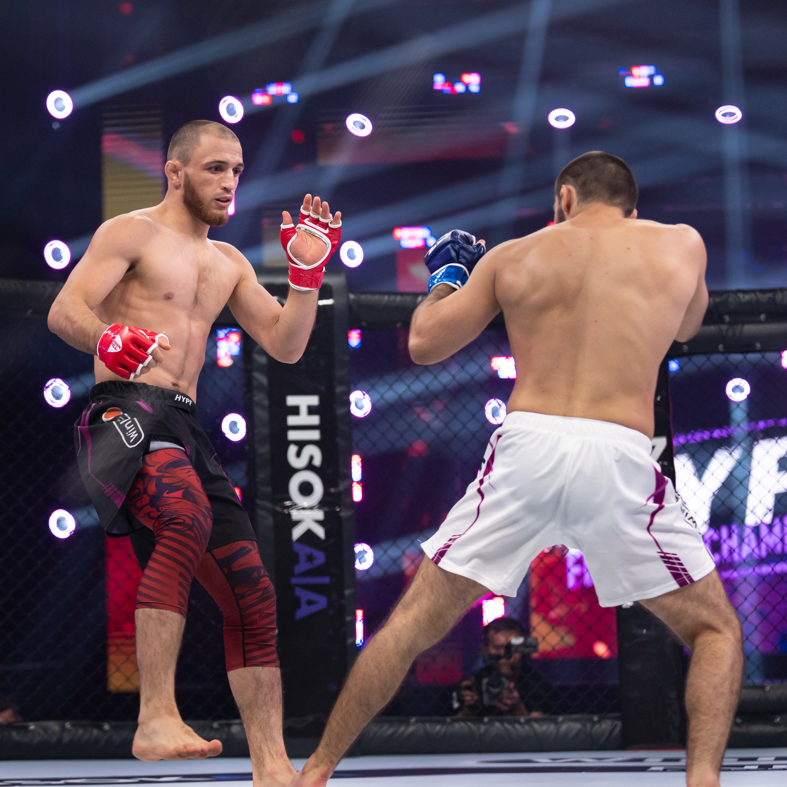 Бои. Репортажный фотограф в Красной Поляне и Сочи Павлюченко Екатерина