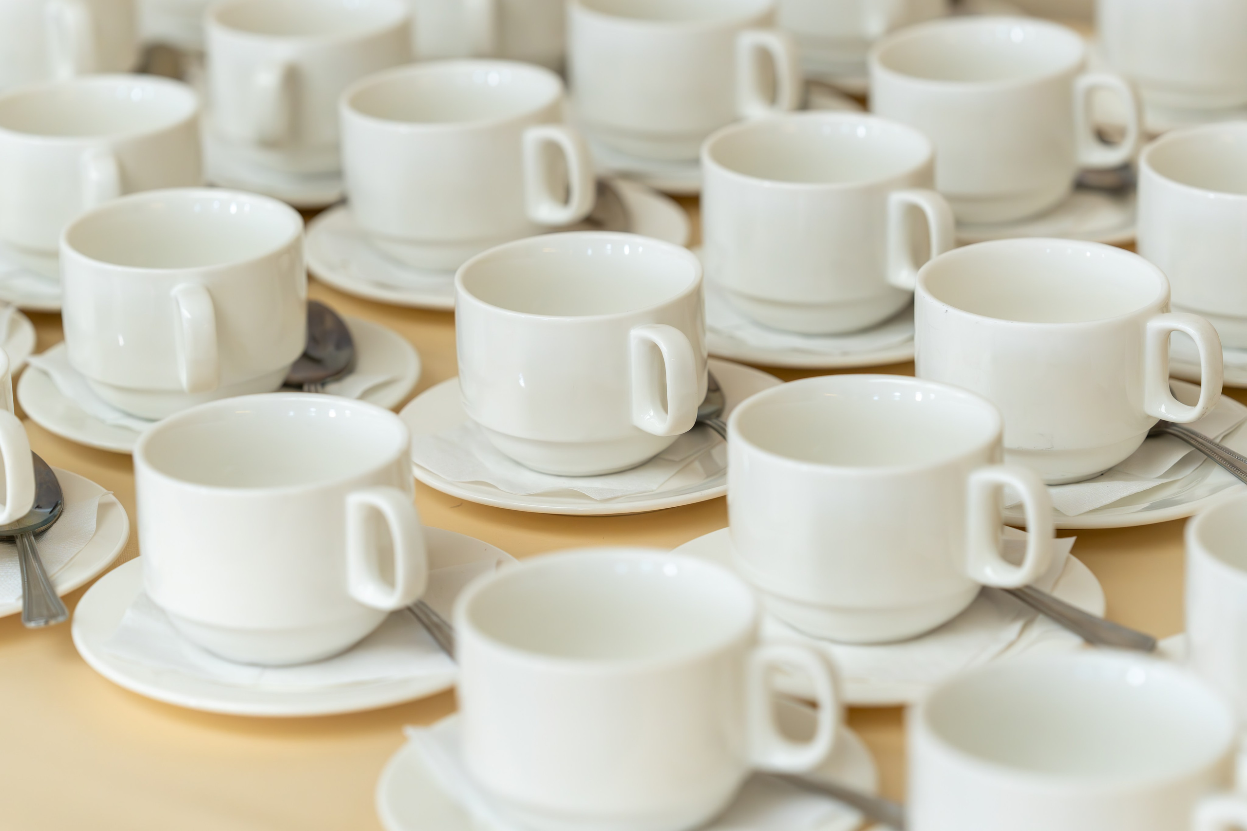 ЦСТЭ холдинг 2023. Репортажный фотограф в Красной Поляне и Сочи Павлюченко Екатерина