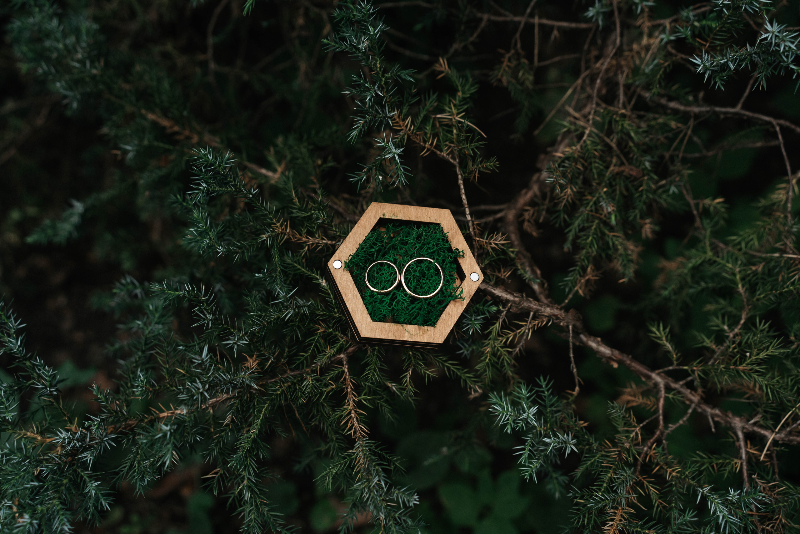 Свадебная фотосессия. Фотограф Москва Татьяна Гайдаржи