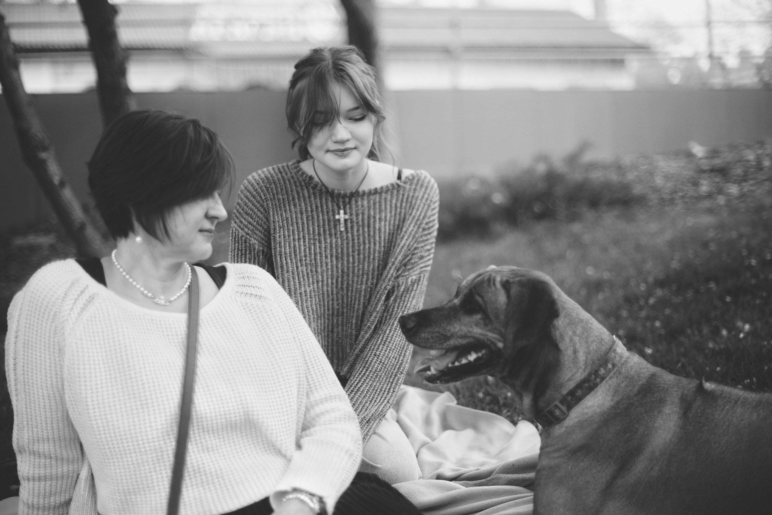 Love story: человек + собака. Фотограф-анималист Мария Орсеева, Краснодар