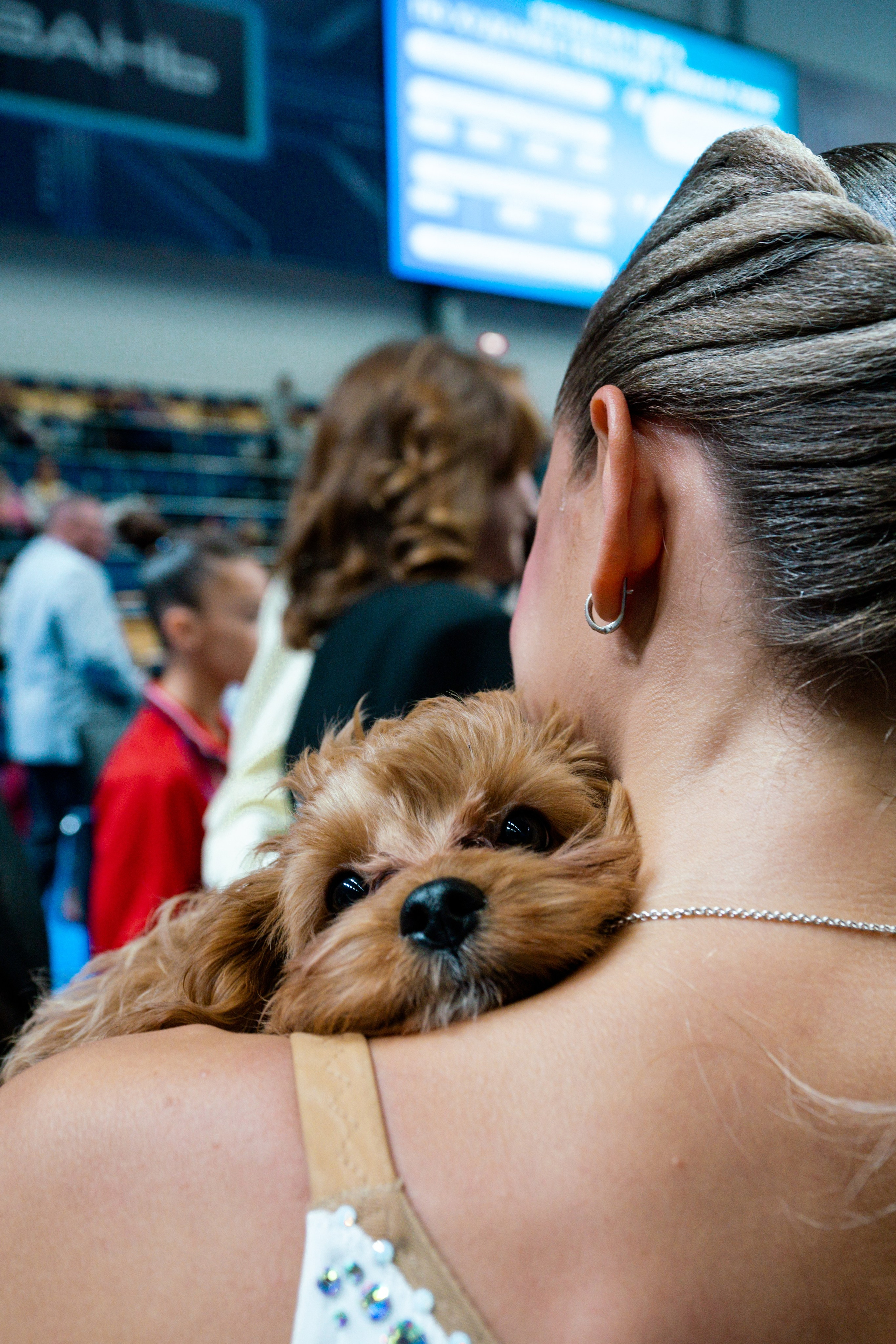 АЛЬФА-БАНК КУБОК КЛУБОВ РОССИИ 2025. КАЗАНЬ. Фотограф Казань