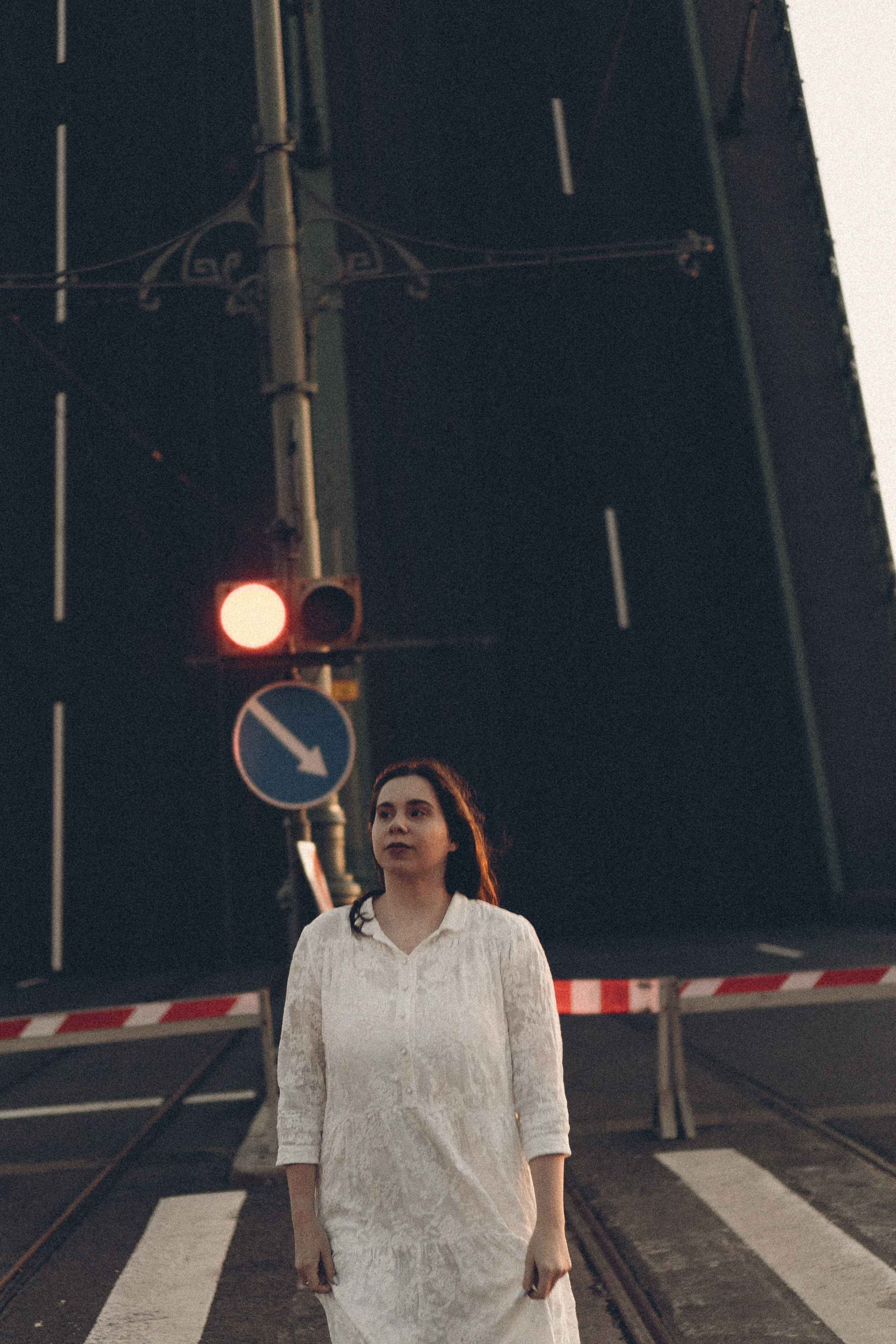 РАССВЕТ С РАЗВОДНЫМИ МОСТАМИ. Профессиональный фотограф, Санкт-Петербург — Виктория Богомолова