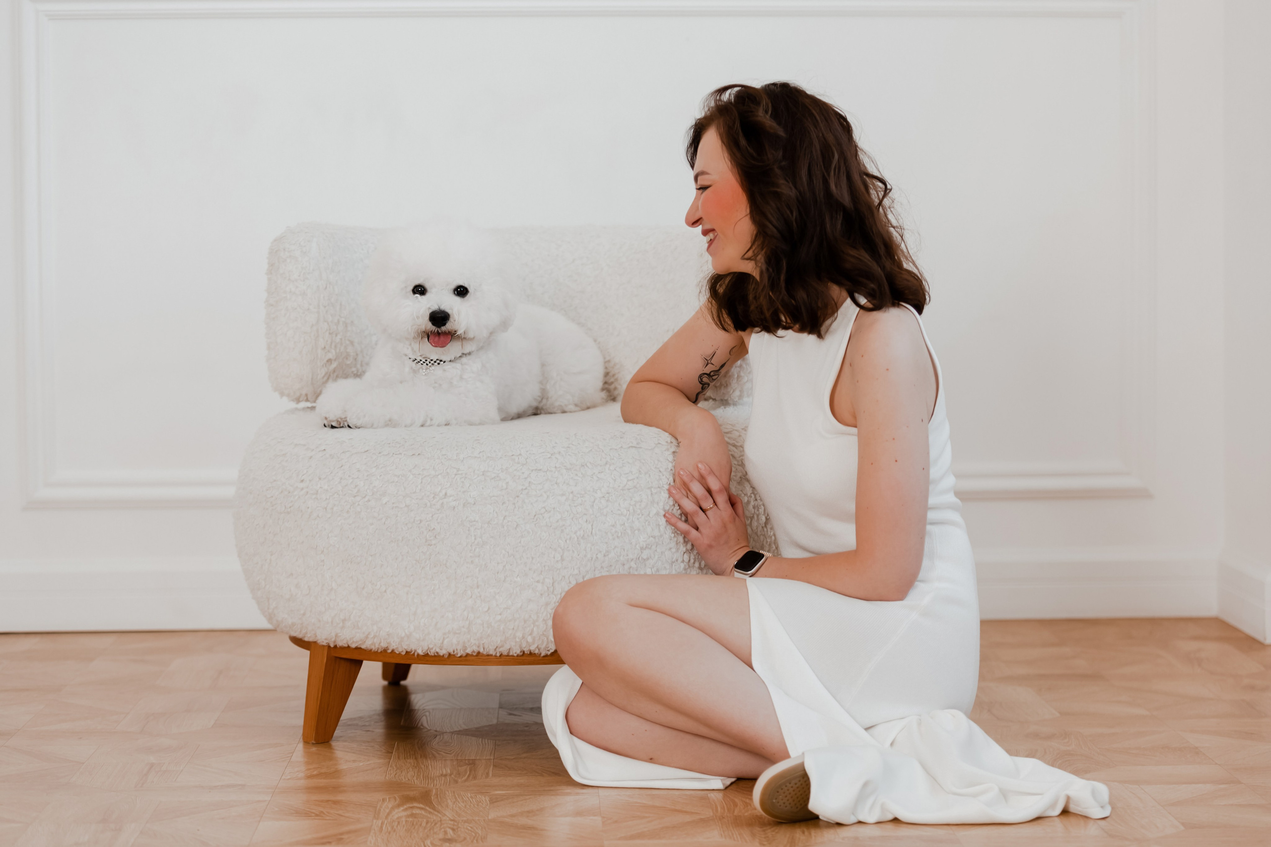 Бишон-фризе. Фотограф-анималист в Краснодаре Маша Мельникова