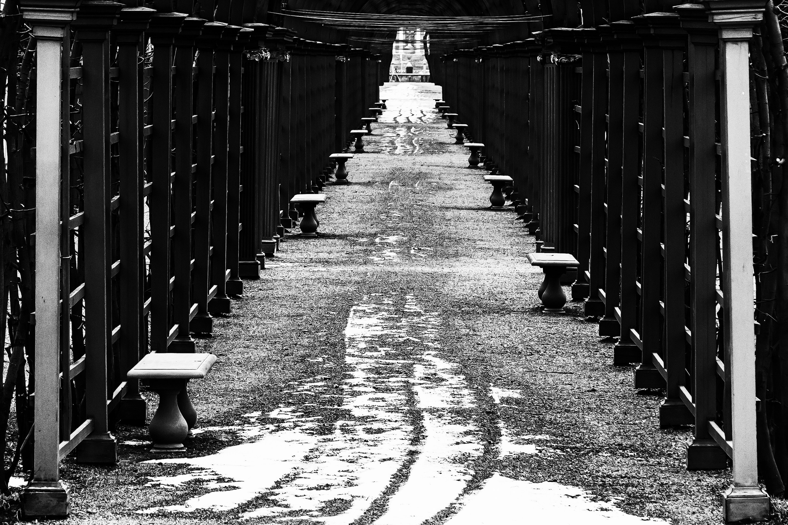 Dimitri Bakhtadze, black and white photos. Dimitri Bakhtadze photographer