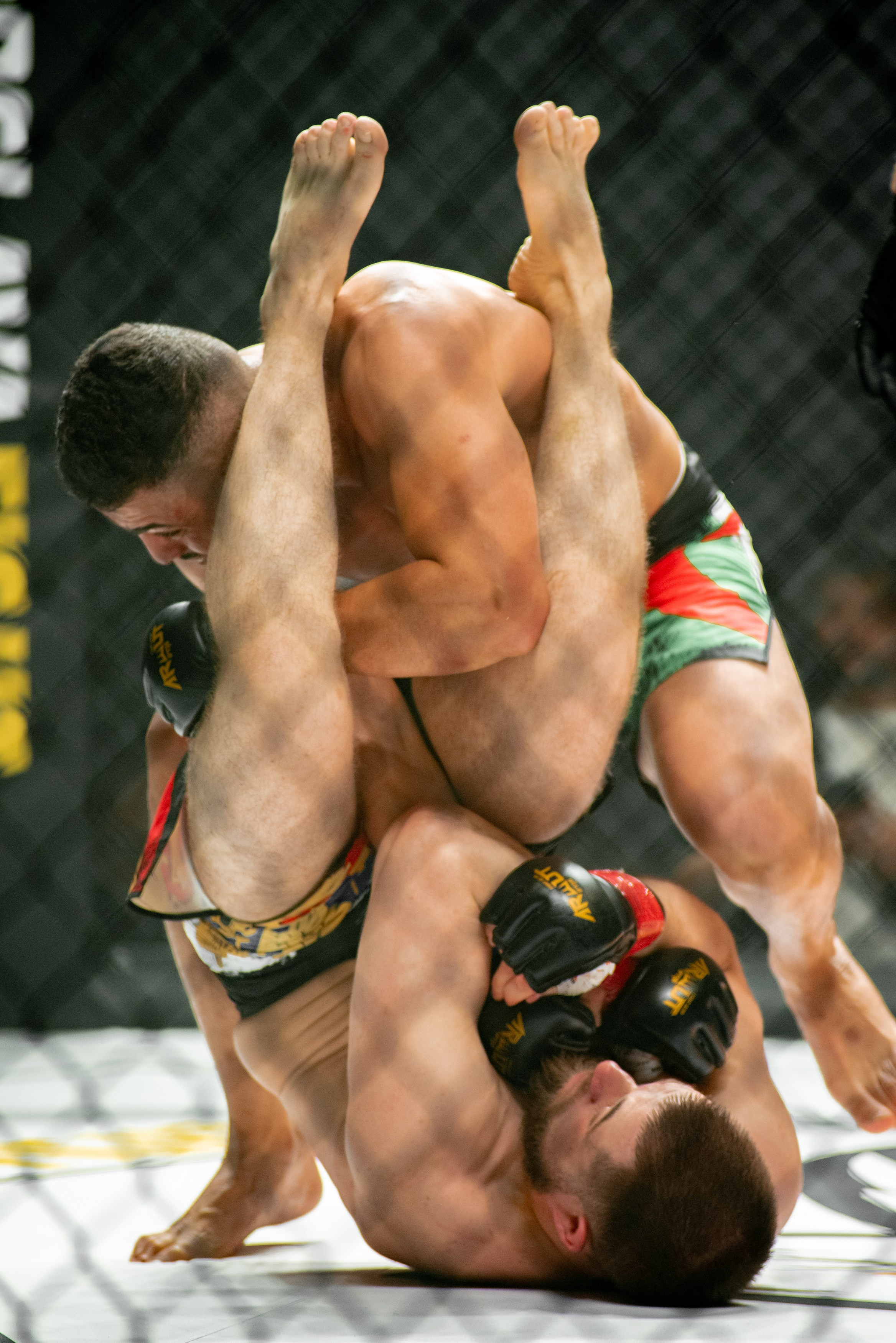 Miroslava Fight