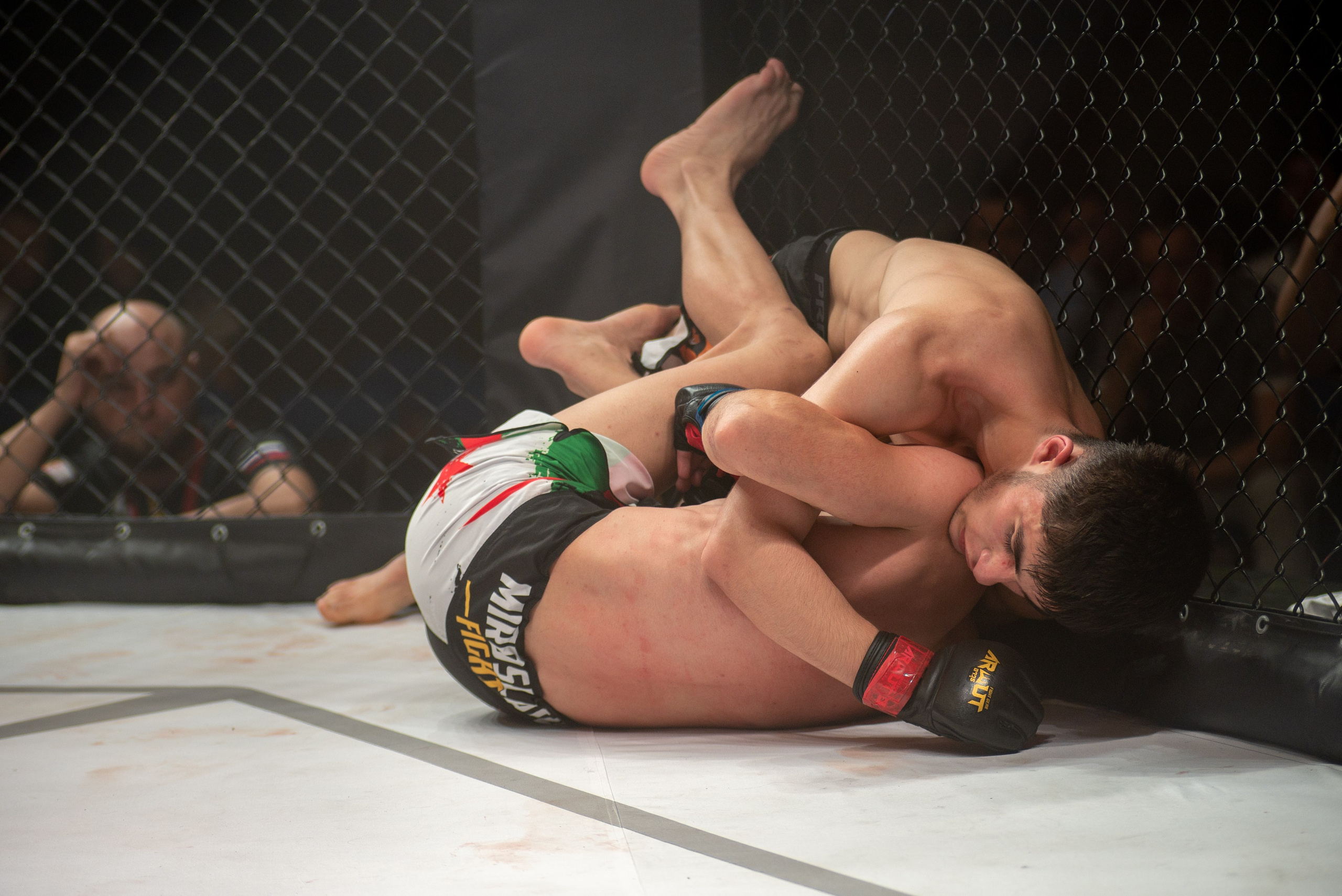 Miroslava Fight