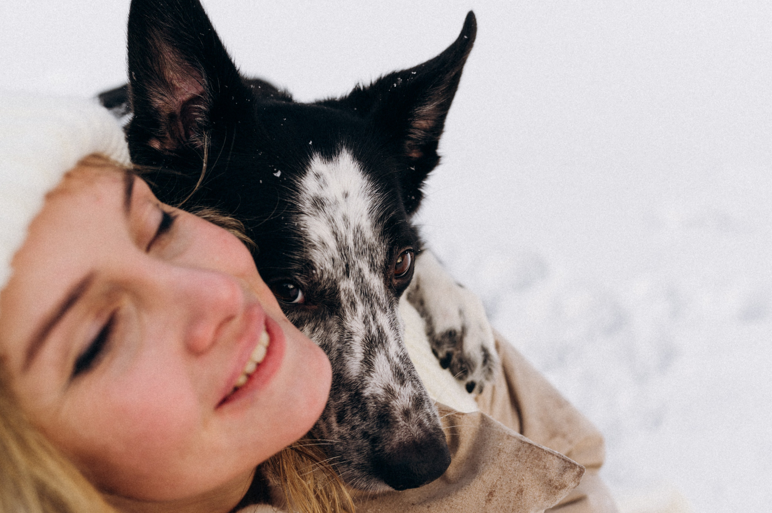 Аня и Милан. Фотограф анималист в Москве Ольга Агушева