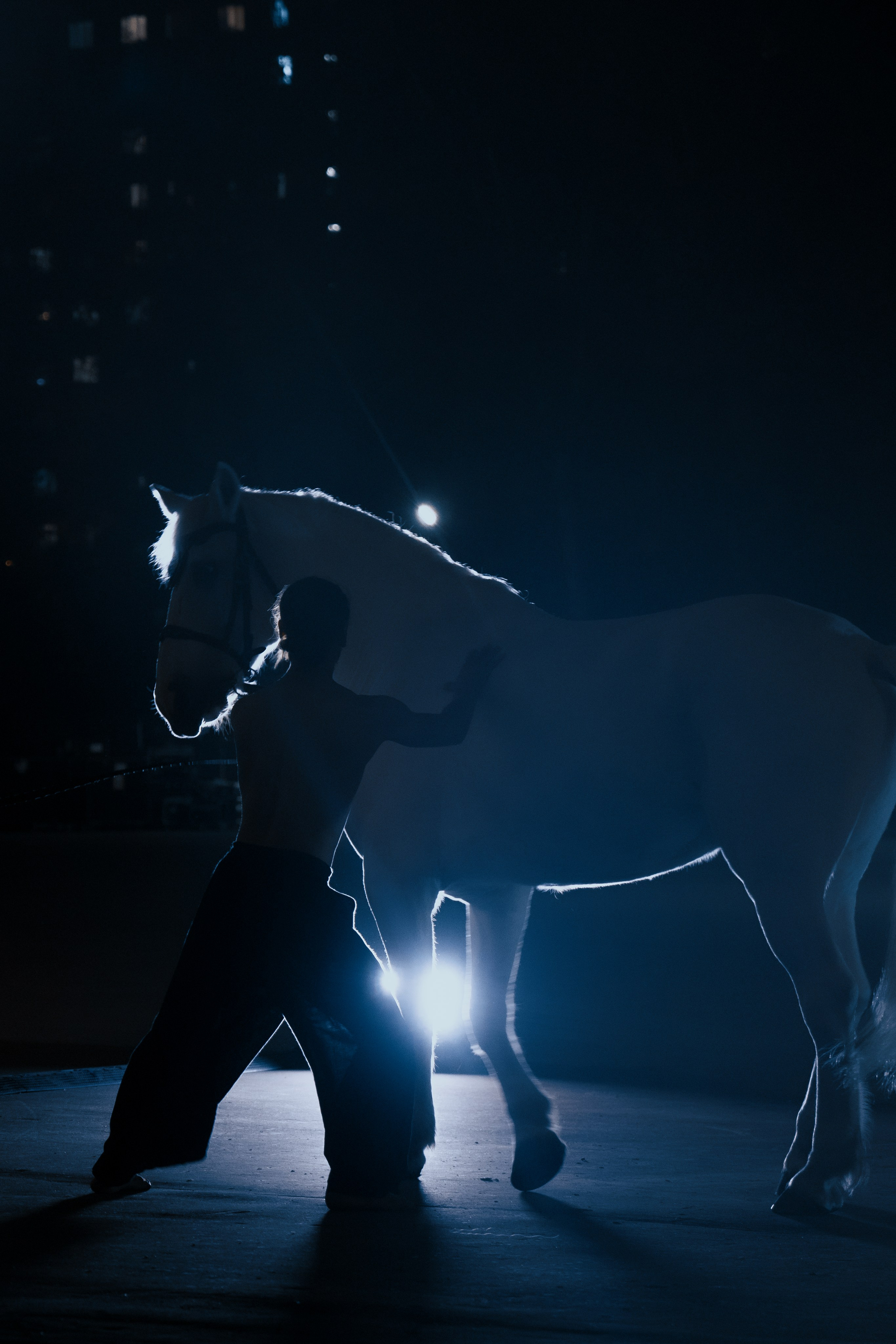 PERFORMA, The Hour of the Horse. @tomrus: Рустам Шагиморданов — фотограф