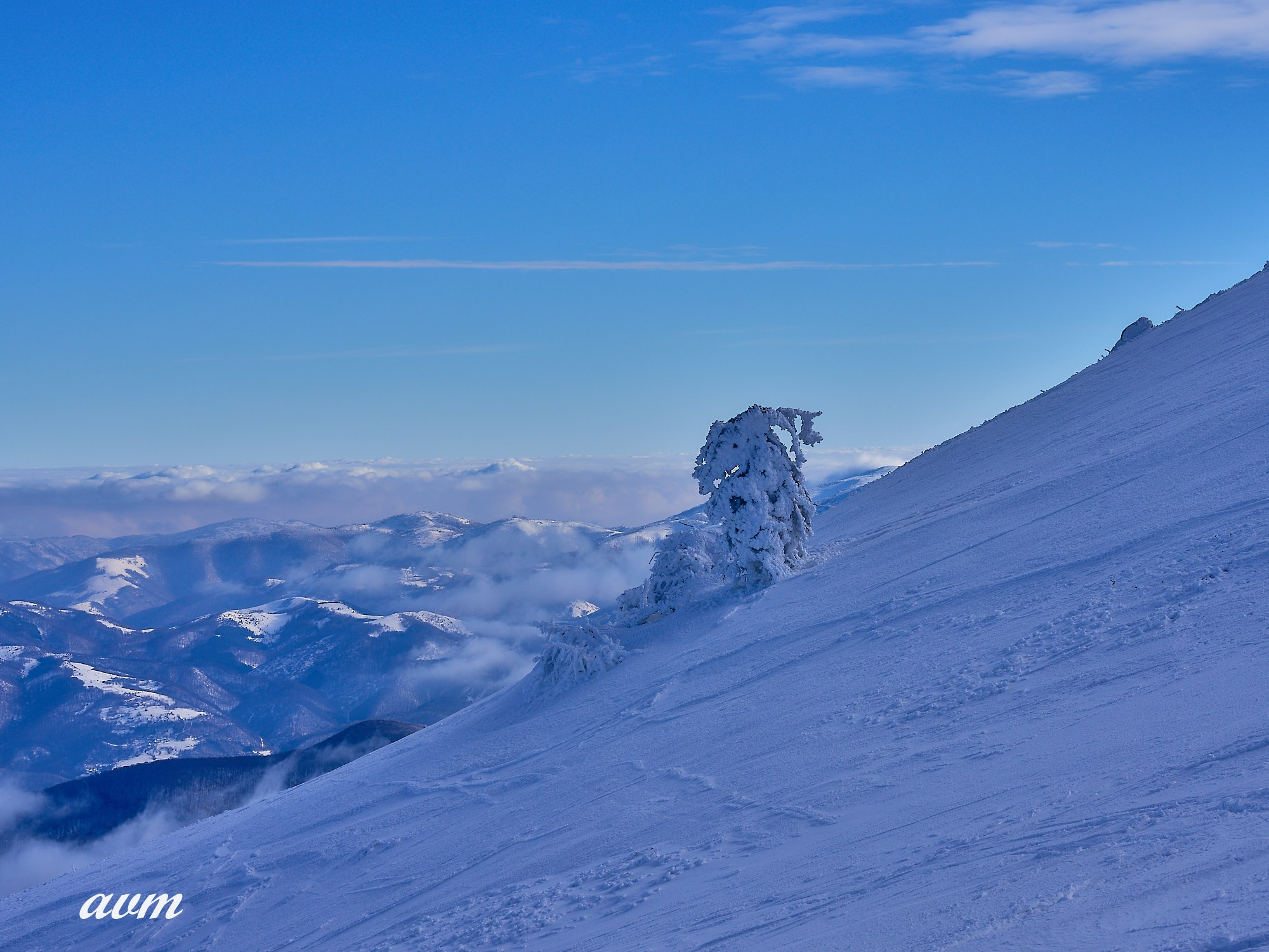 Капаоник-Белград Сербия Зима 2022. Фотограф Михеев Андрей