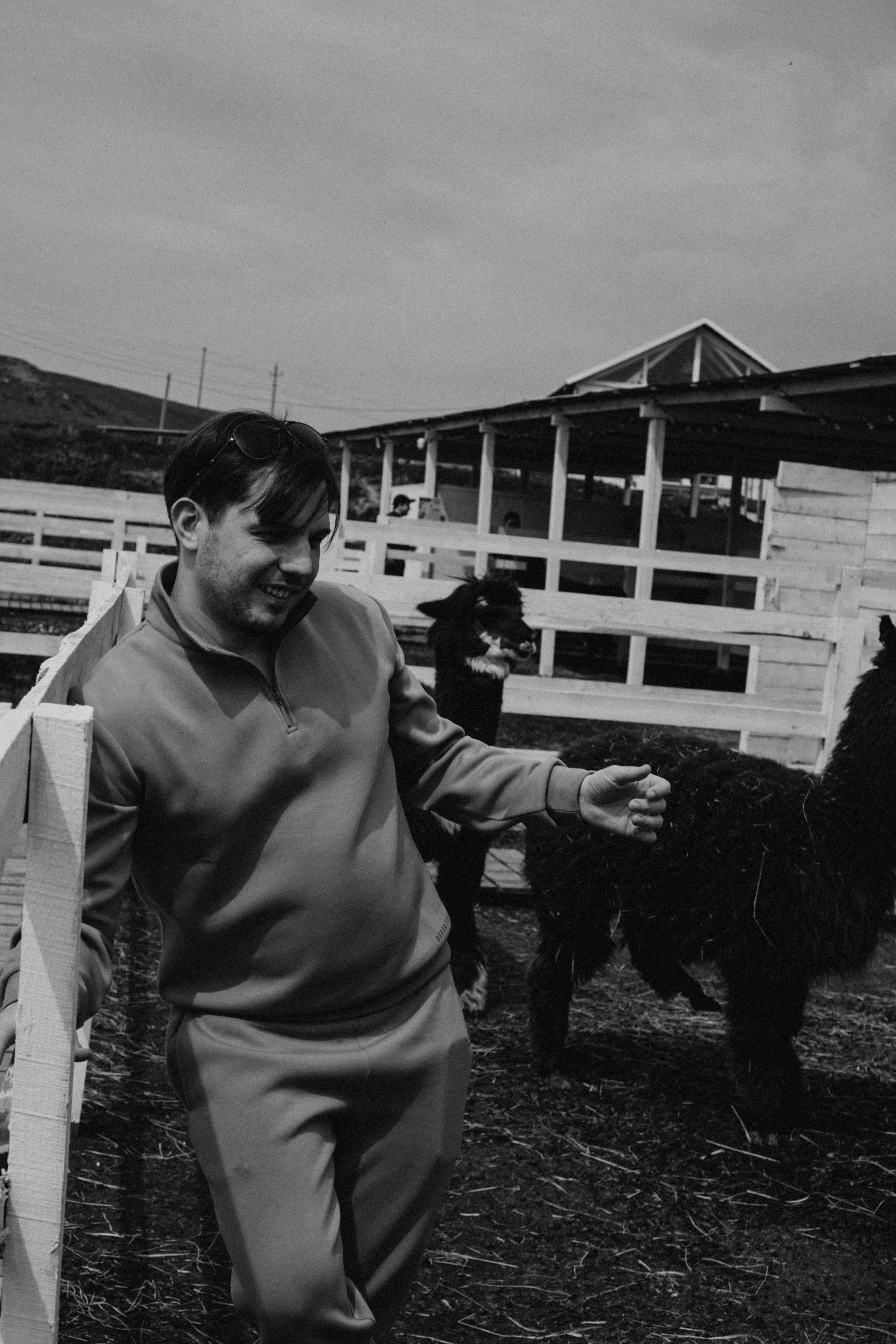 Ферма Альпак. Профессиональный фотограф, Санкт-Петербург — Виктория Богомолова