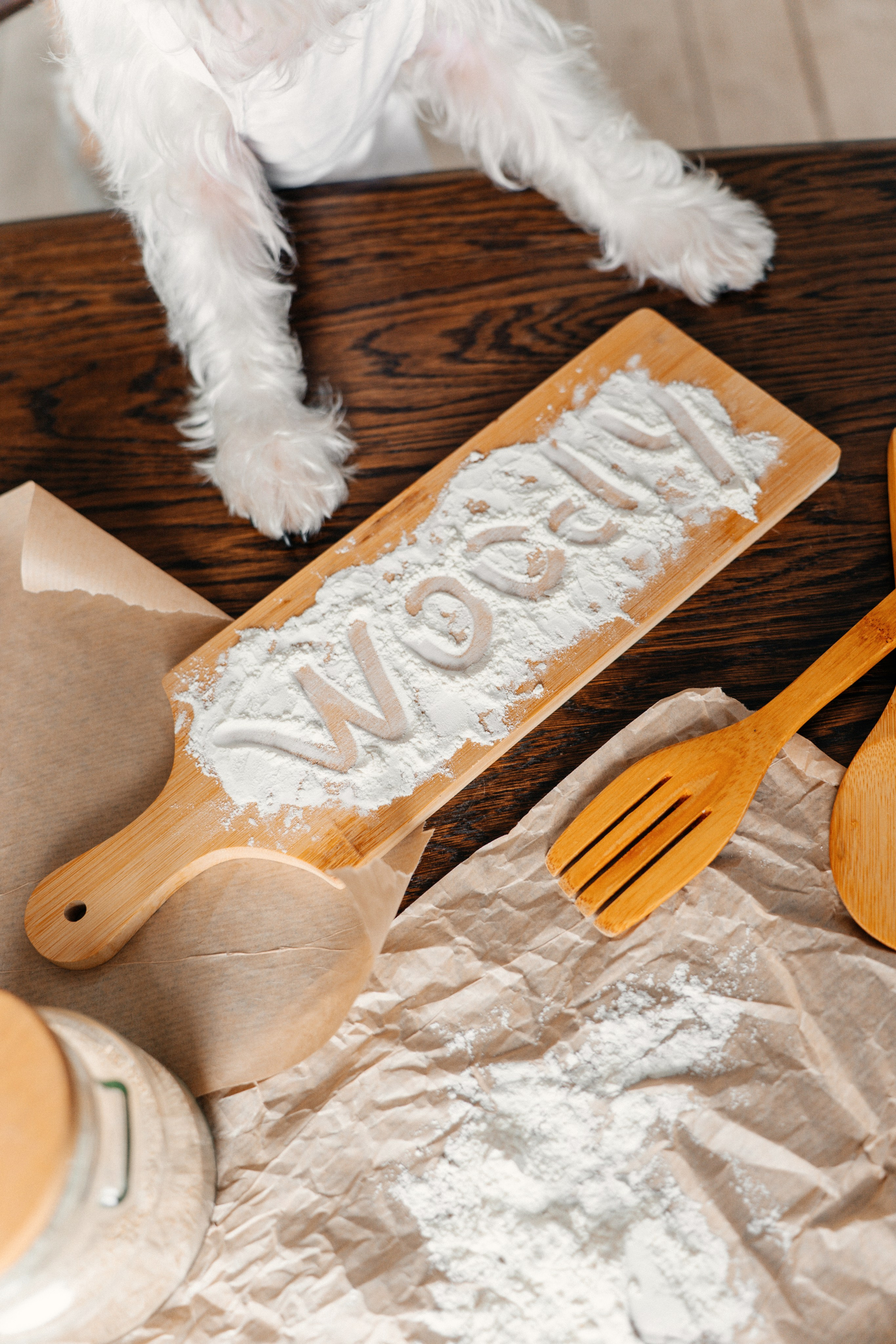 Красота хвостатых глазами хозяйки. Ваш семейный фотограф в Минске — Вика Трегубова