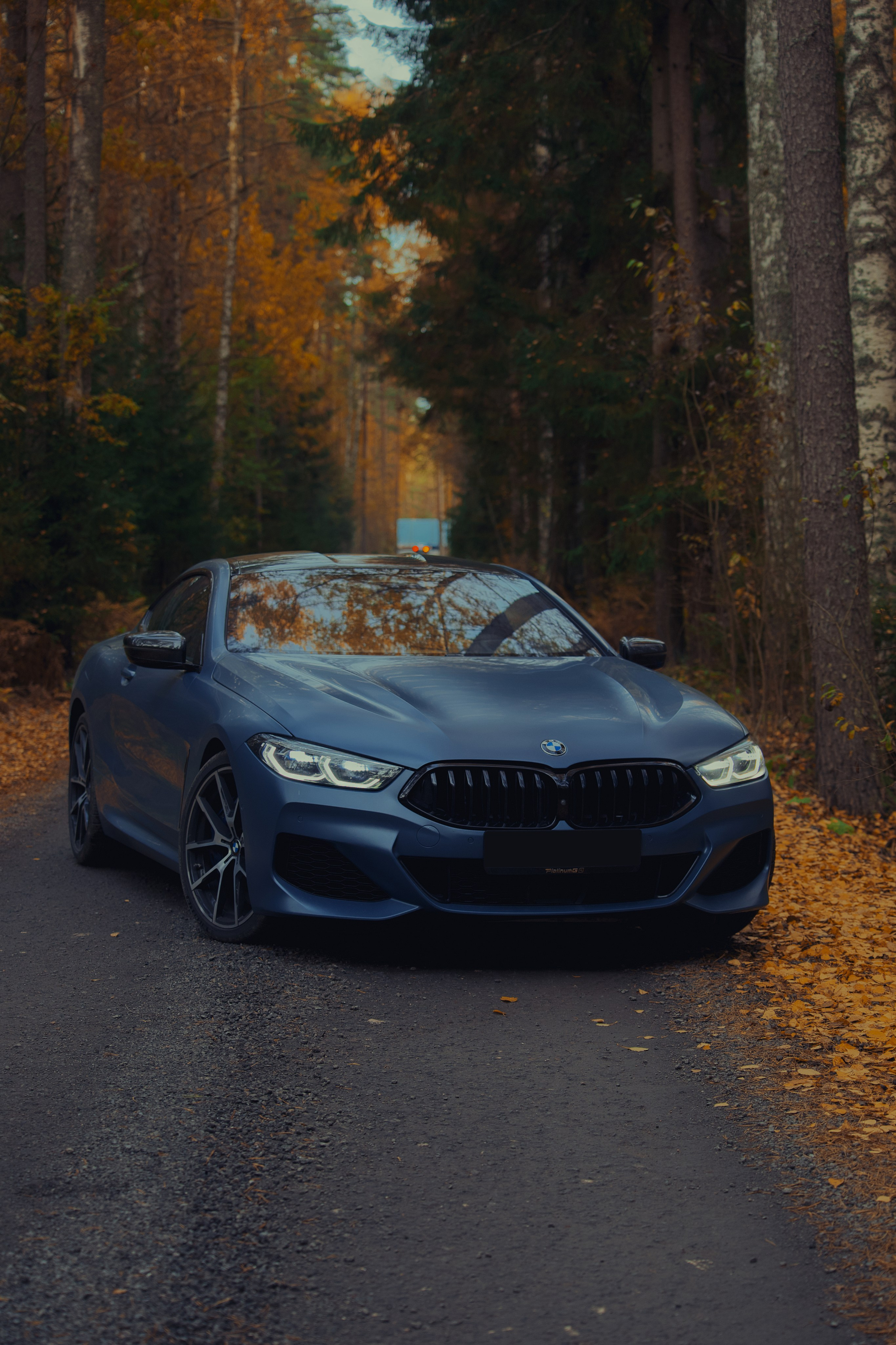 BMW 8 series