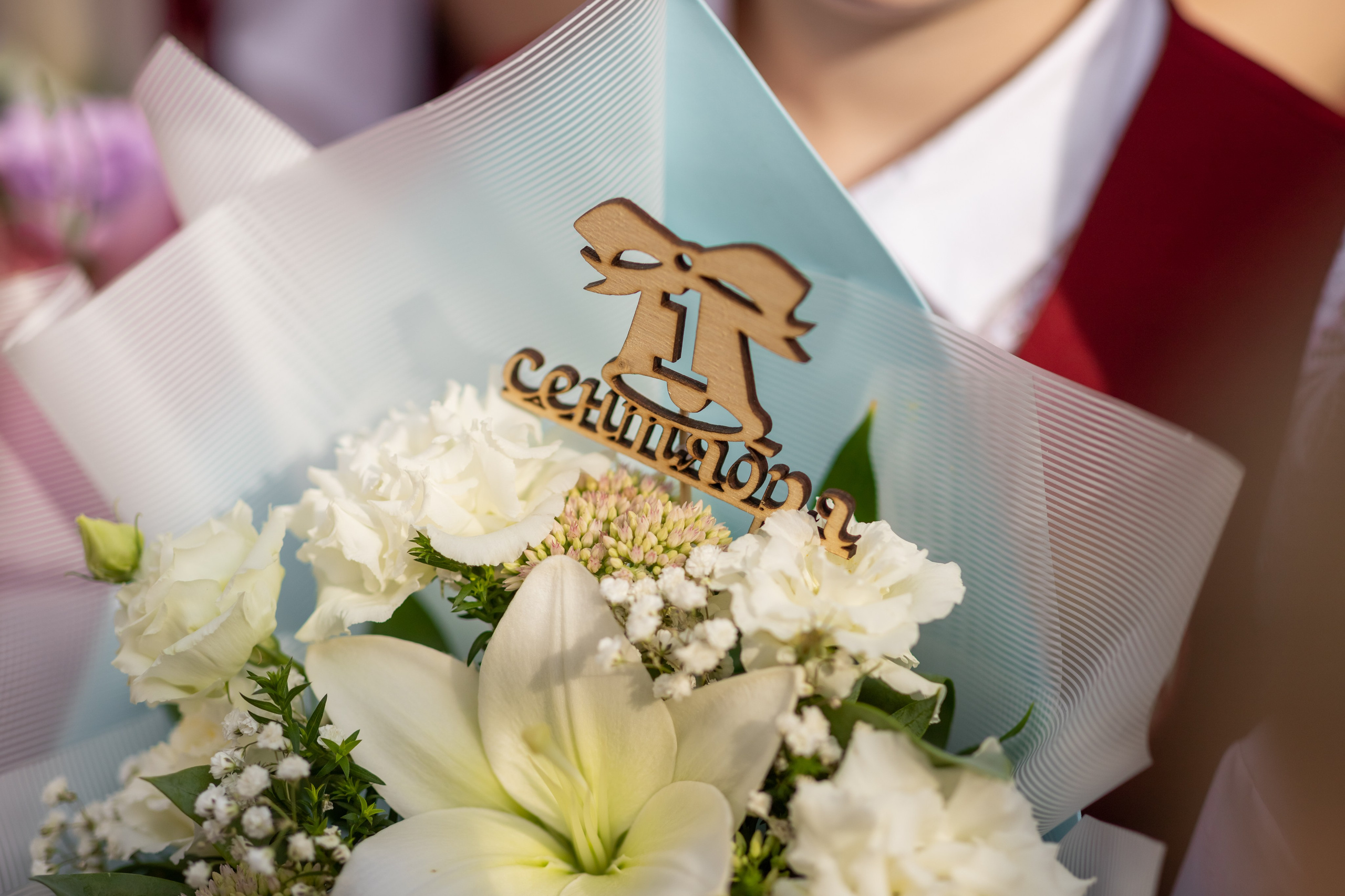 1 сентября. Олеся Семейская свадебный и семейный фотограф в Ростове-на-Дону