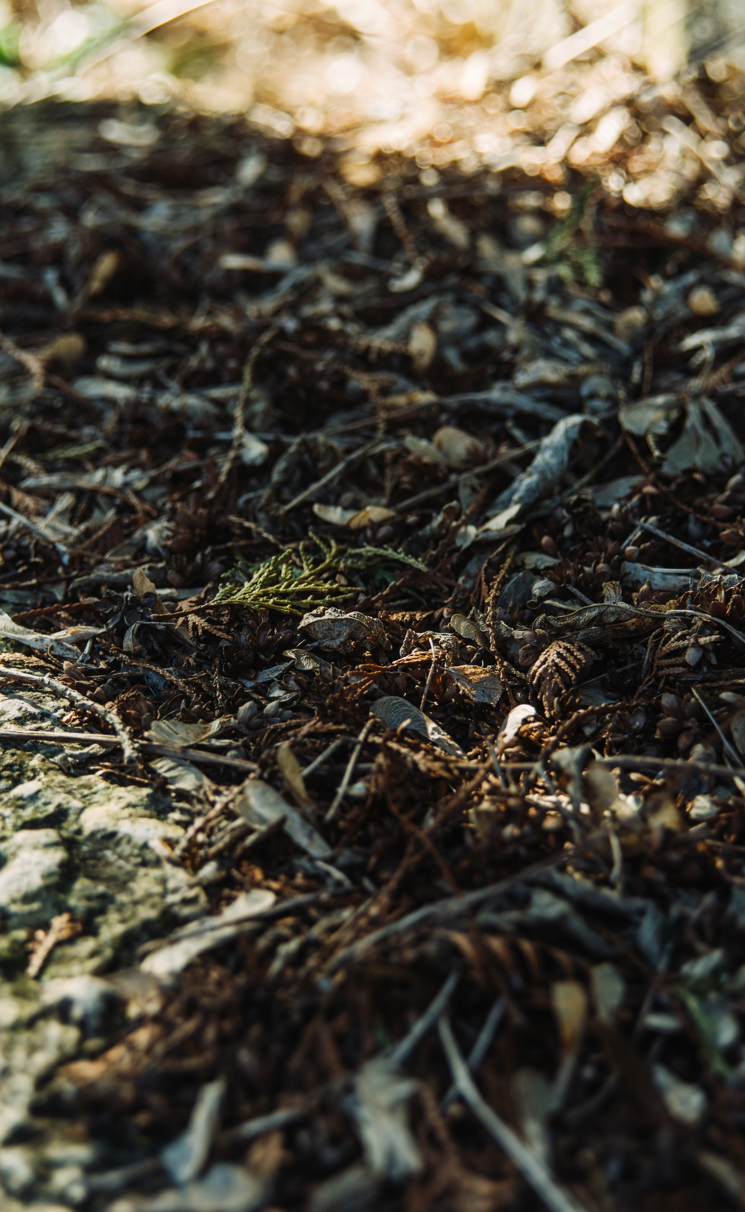 Орановка. Репортажный и портретный фотограф в Липецкой, Воронежской, Московской области Тёма Белоусов