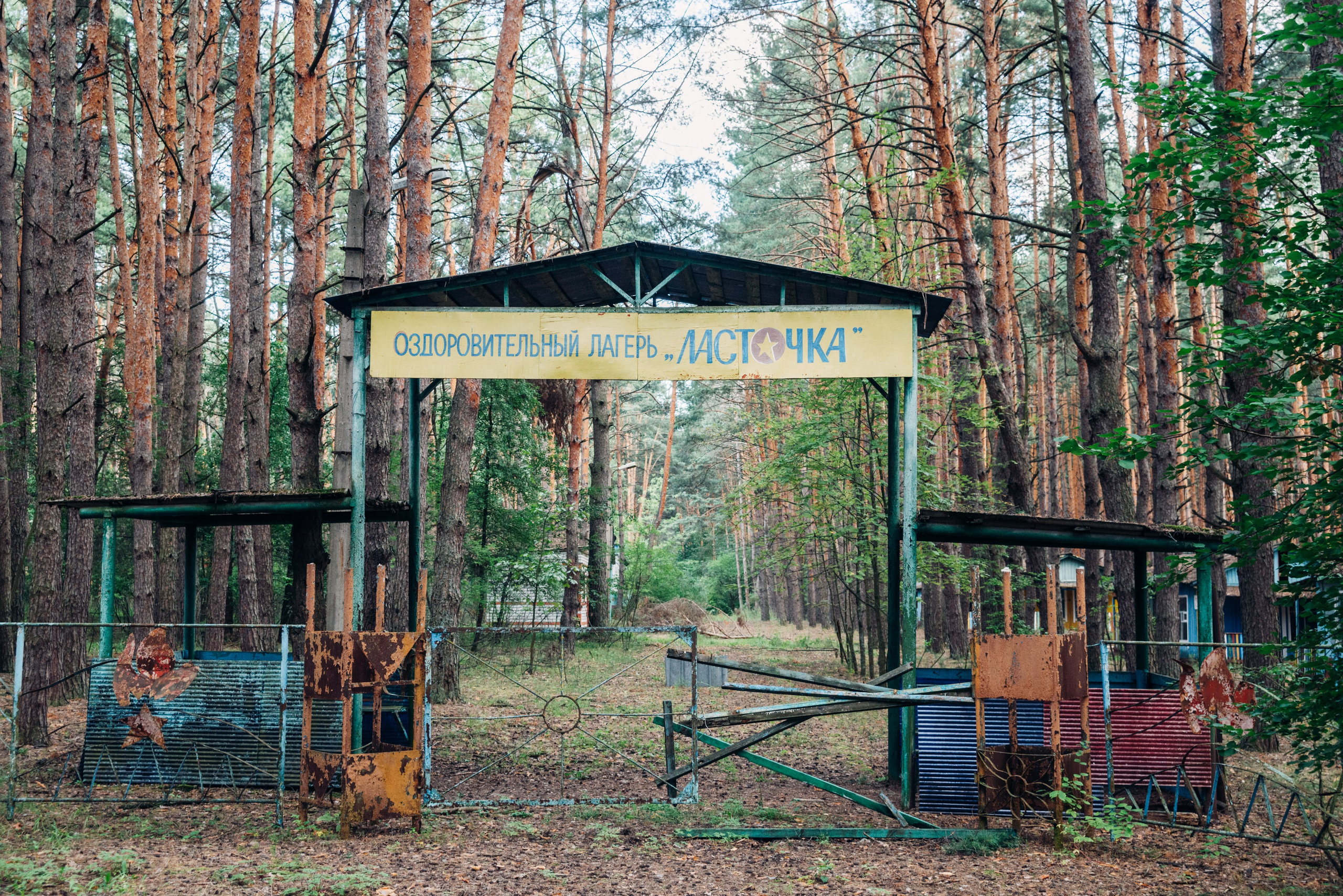 Ласточка. Репортажный и портретный фотограф в Липецкой, Воронежской, Московской области Тёма Белоусов