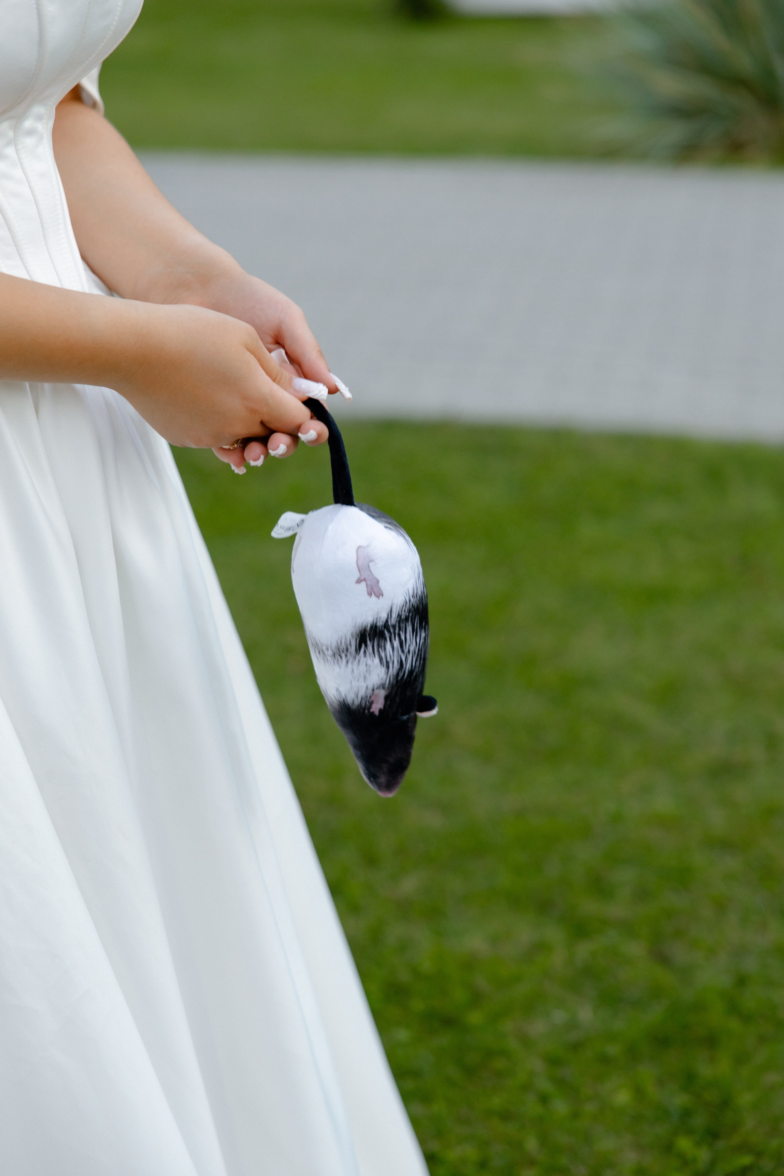 Ростислав и Вика. Свадебный фотограф Анна Бабахина