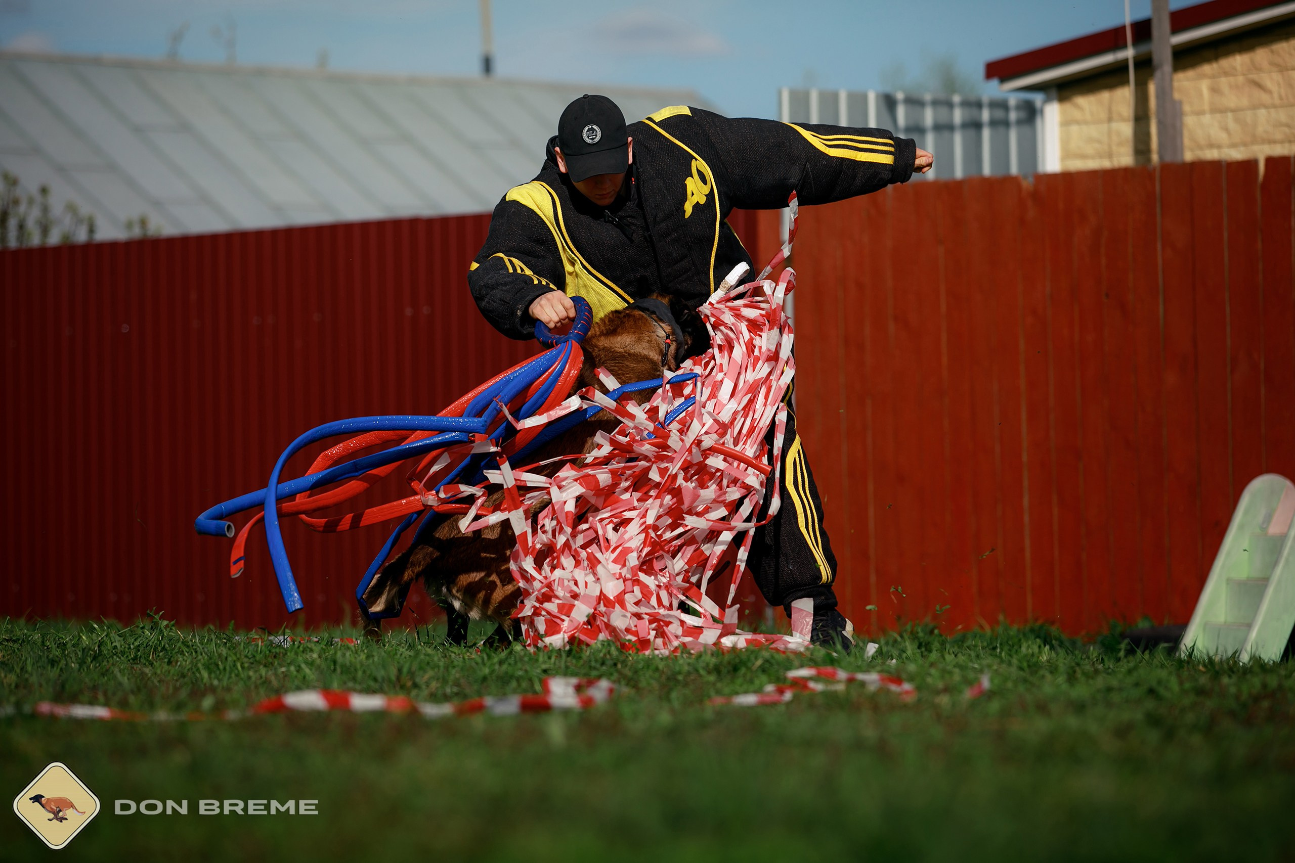 Семинар для фигурантов, день 2. Фотограф-анималист Mary Mart — Москва, Питер