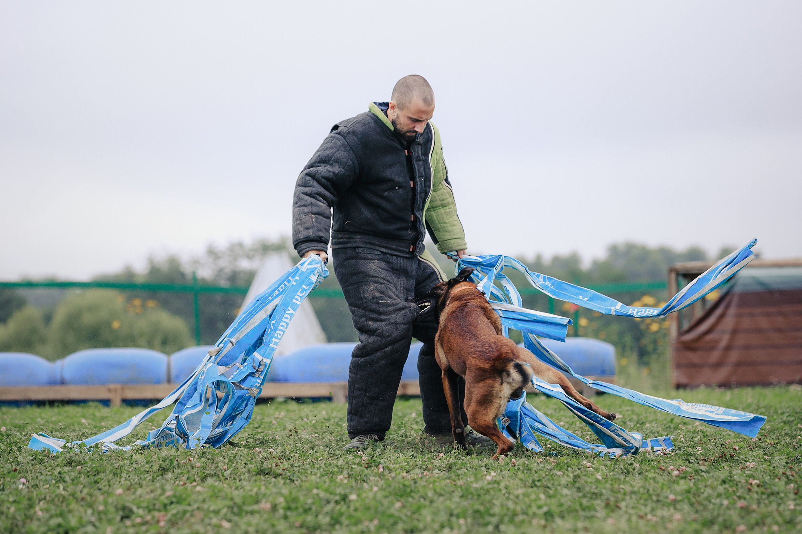 Мондьоринг М1, М2, М3, Вологда. Фотограф-анималист Mary Mart — Москва, Питер