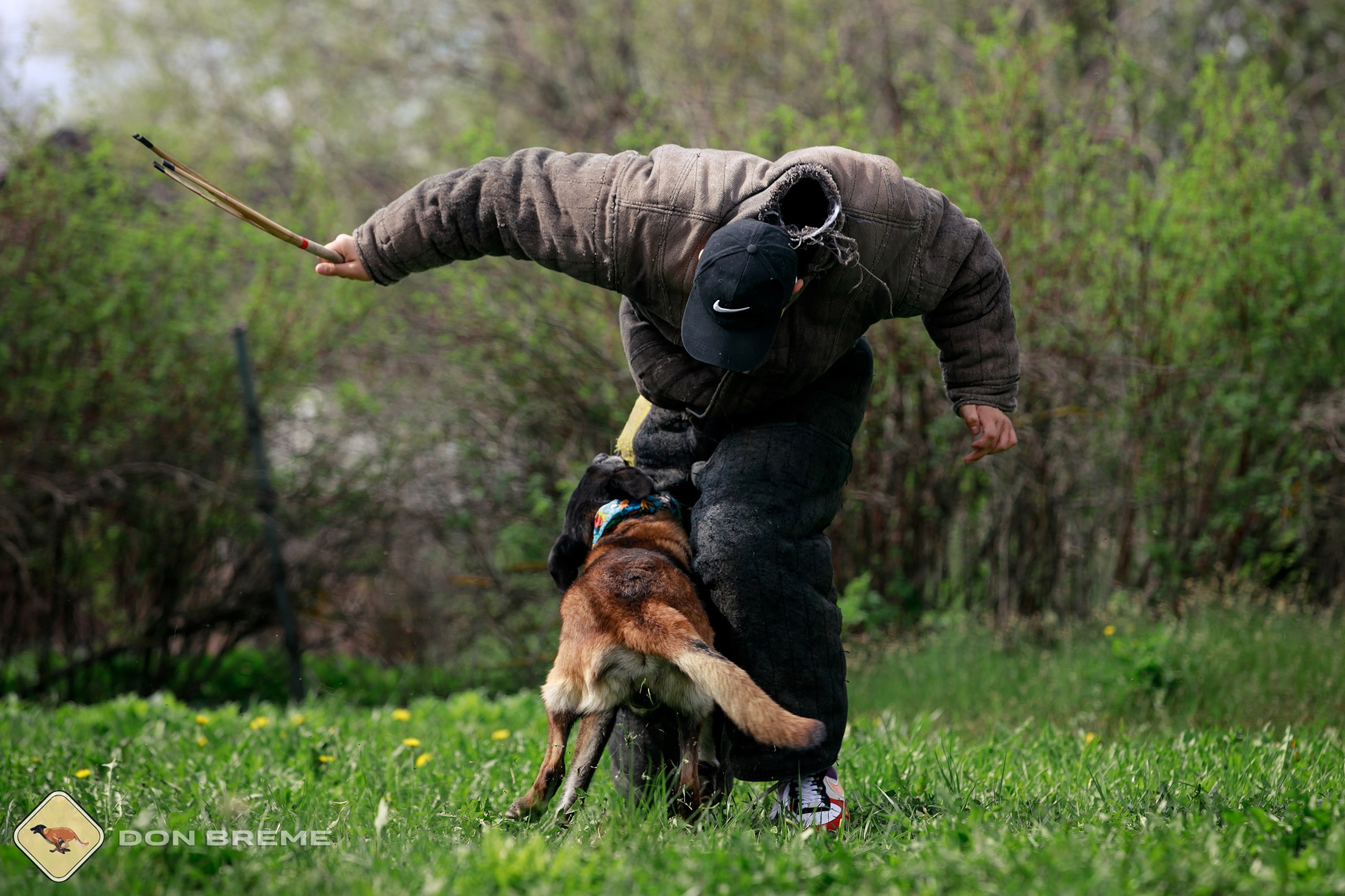 Семинар для фигурантов, день 2. Фотограф-анималист Mary Mart — Москва, Питер