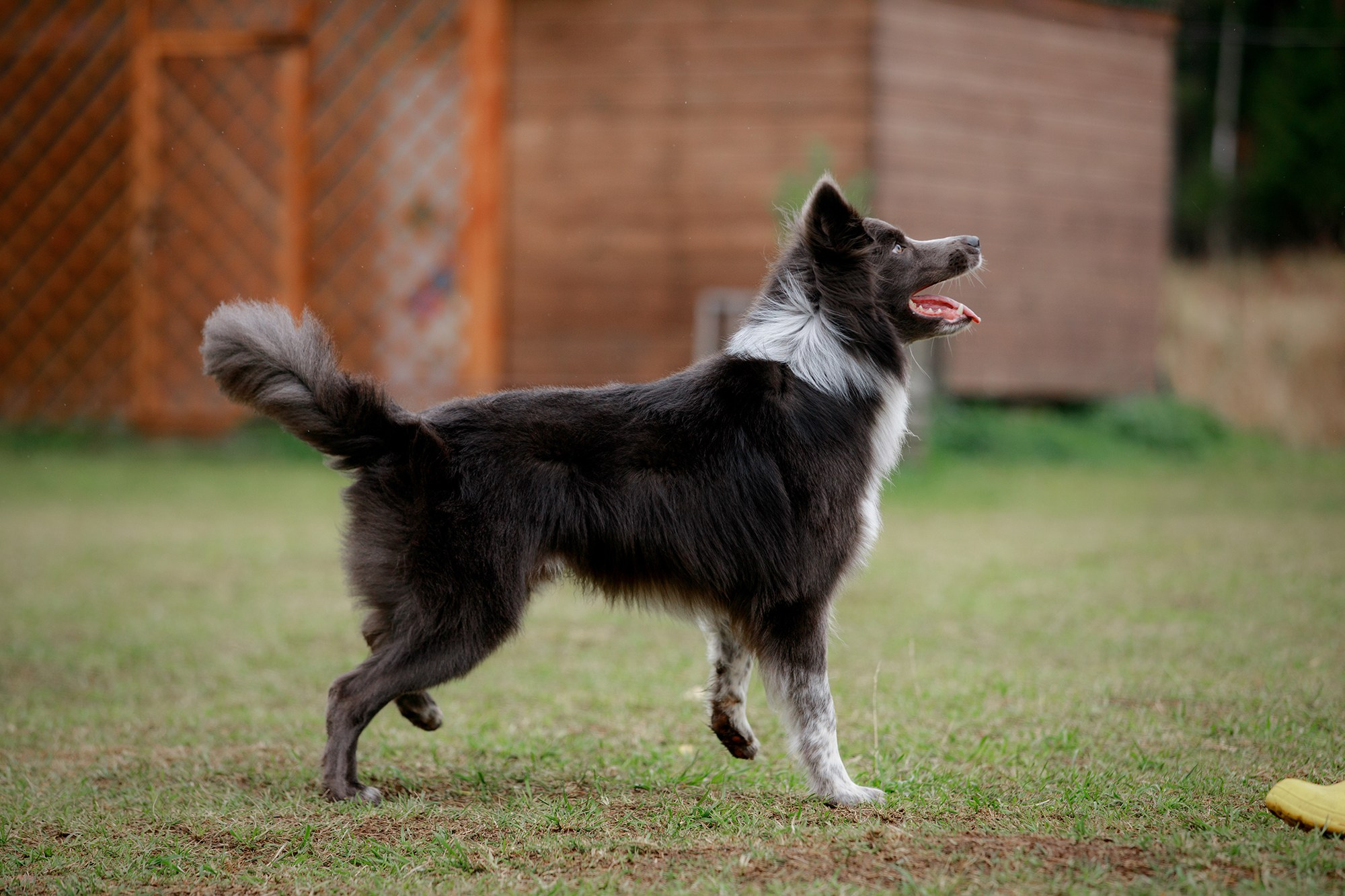 Лагерь по ОБД с Инной Баженовой. Фотограф-анималист Mary Mart — Москва, Питер
