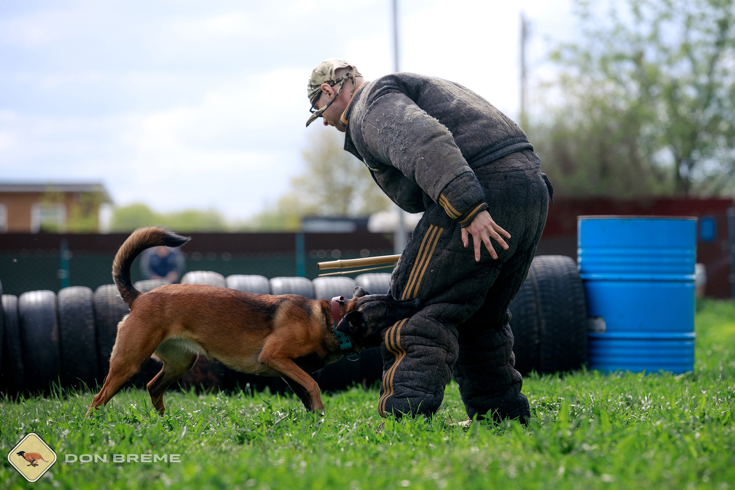 Семинар для фигурантов, день 2. Фотограф-анималист Mary Mart — Москва, Питер