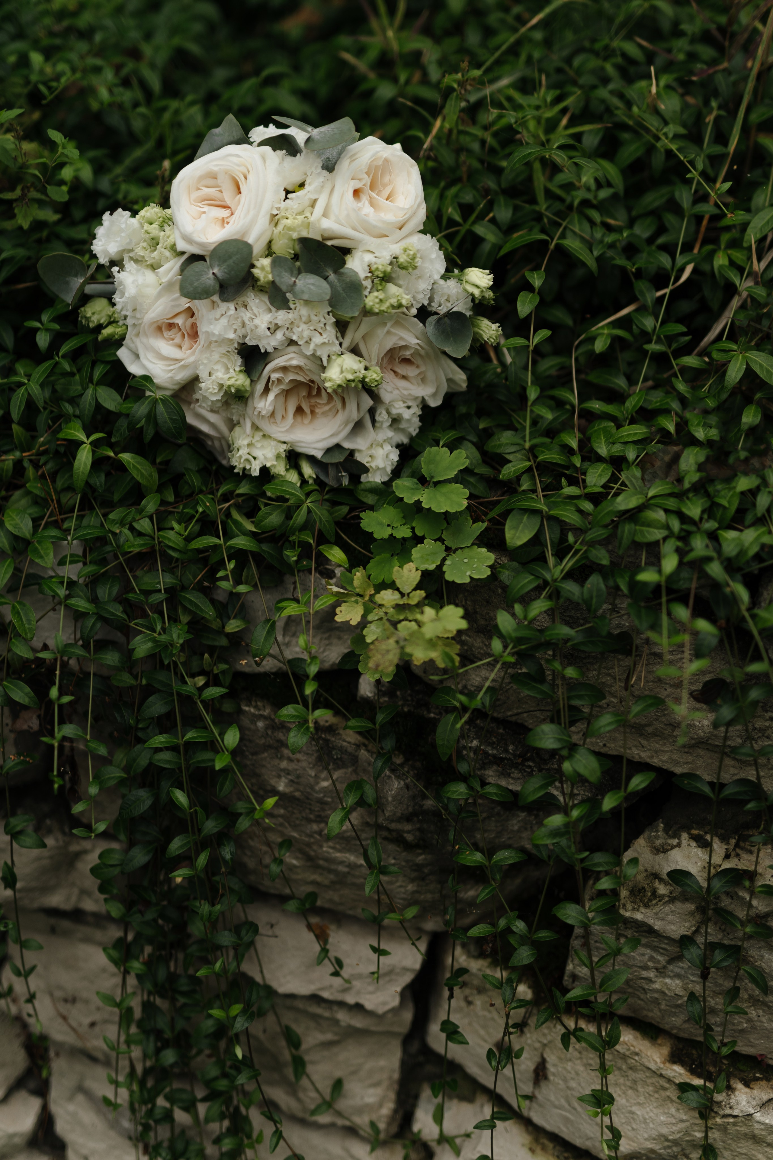 Свадьба Максима и Анны. Фотограф Кольчугино/Владимир/Москва Елизавета Иода