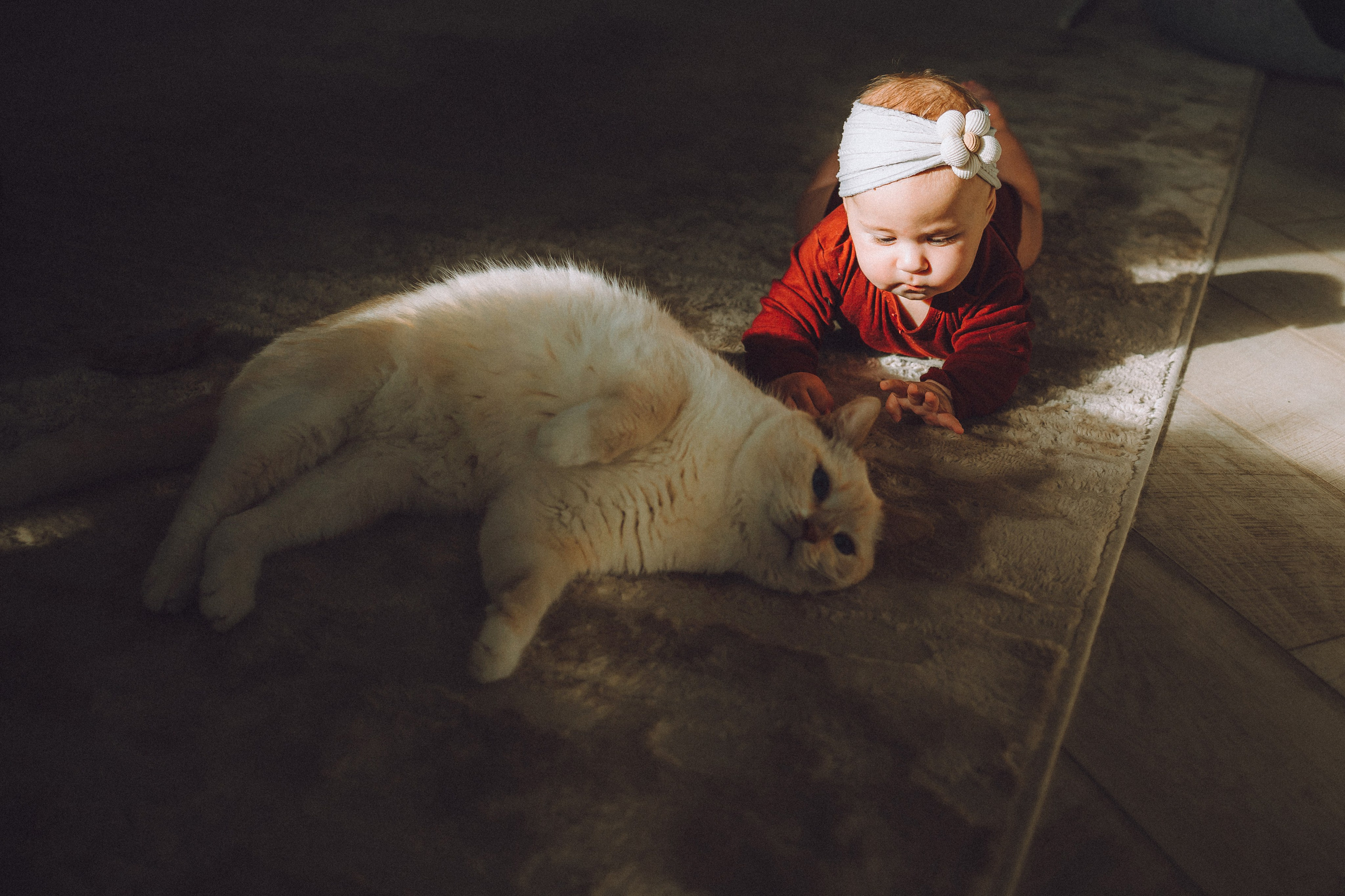 Топик и его семья