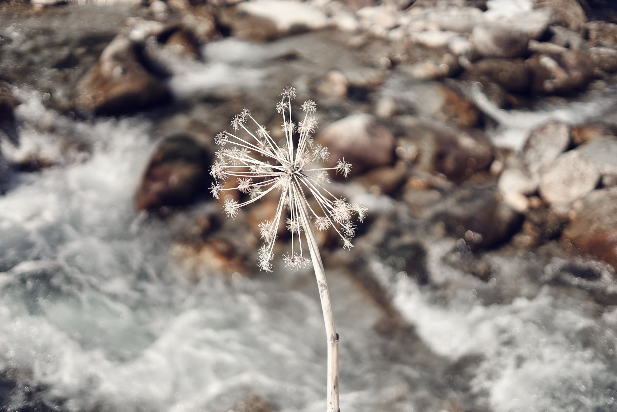 | Девичьи Слезы |. Фотограф |Алматы | Ruslan Zhadigerov