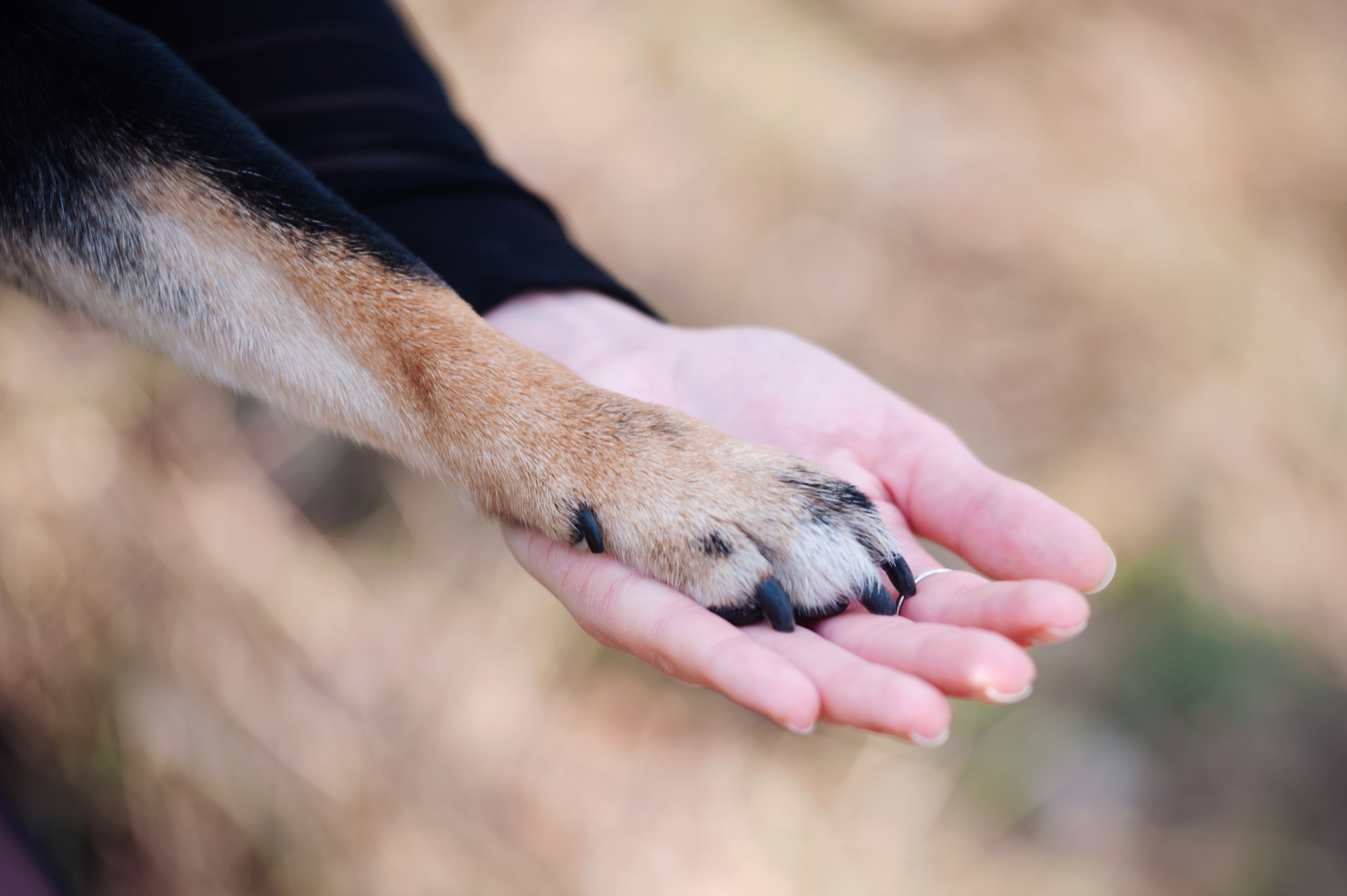 Ксения и Йоши. Фотограф Магнитогорск Данил Семенов