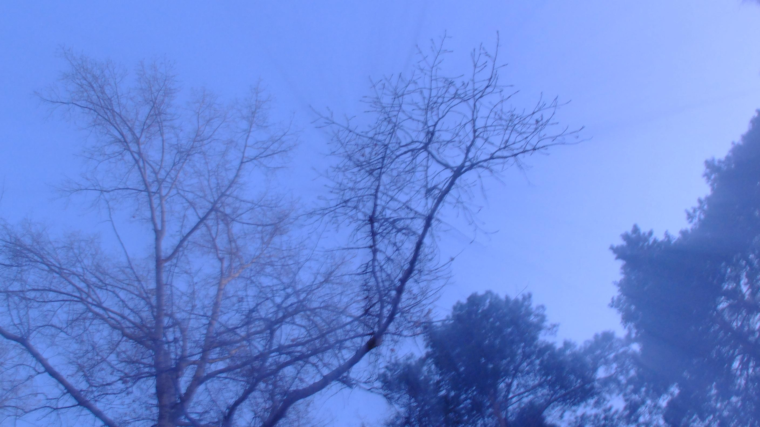 Этот прекрасный мир