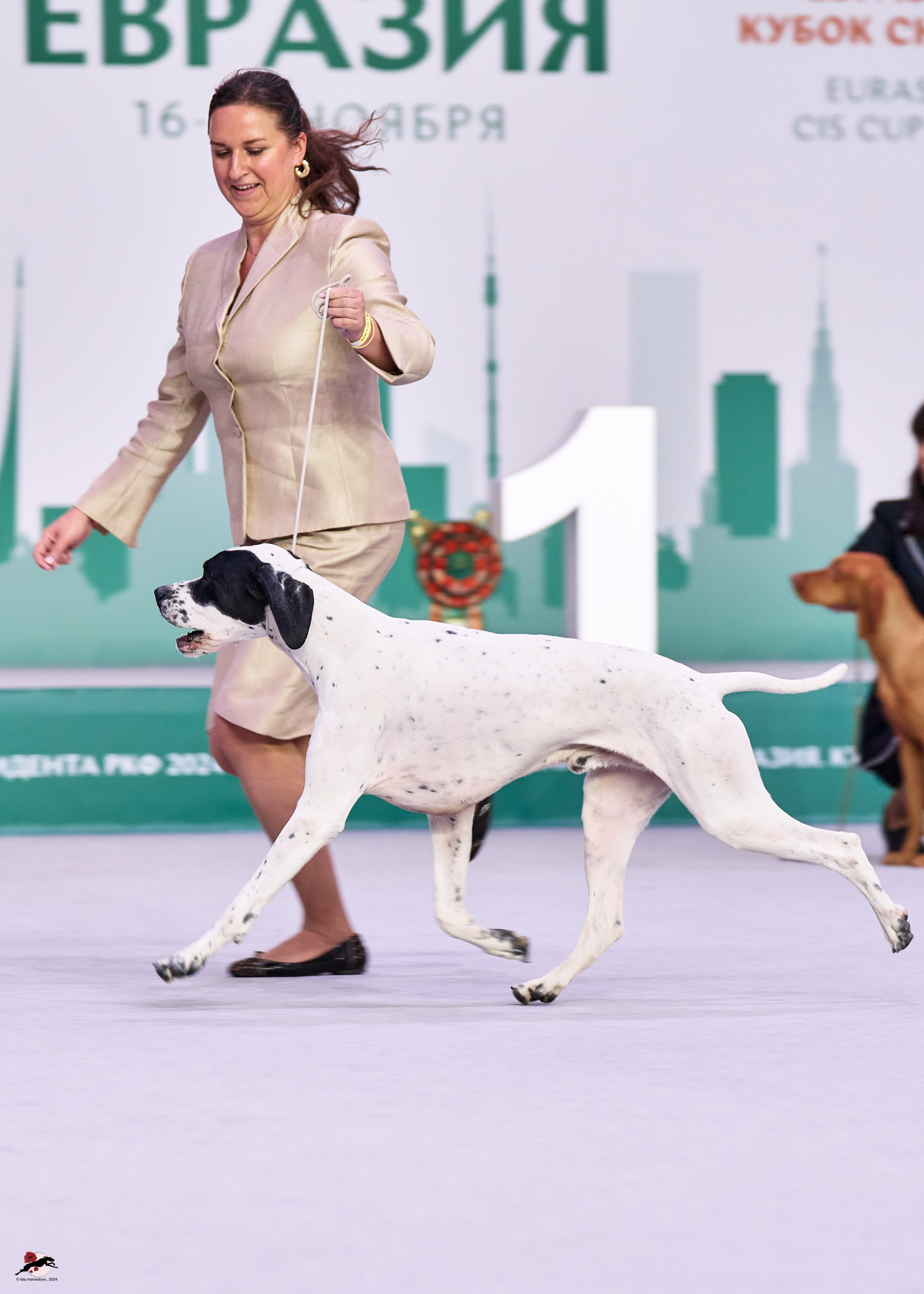 17.11.2024 «ЕВРАЗИЯ. КУБОК СНГ 2024»