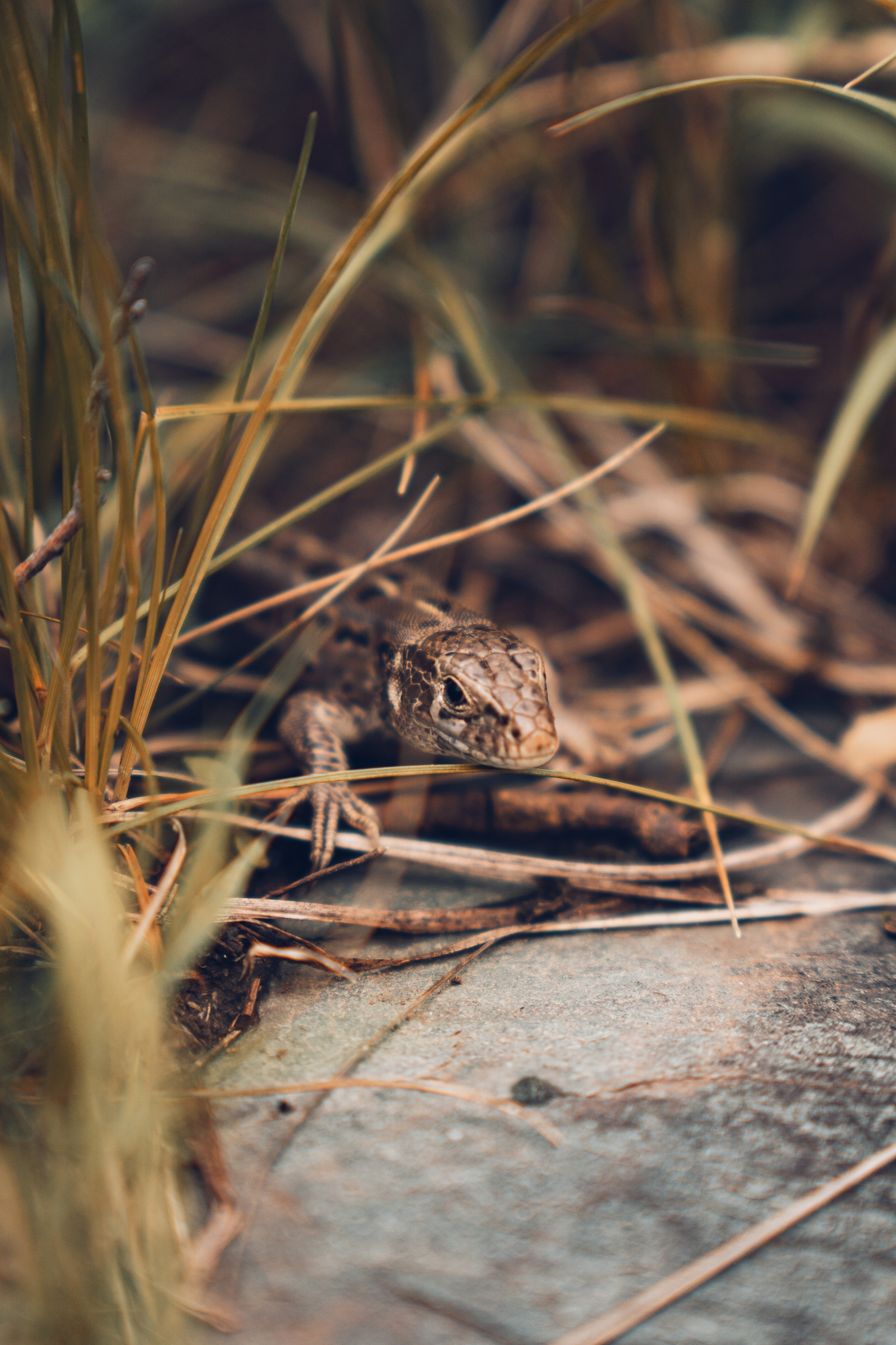 Алтай. Gusarov Travel Photography
