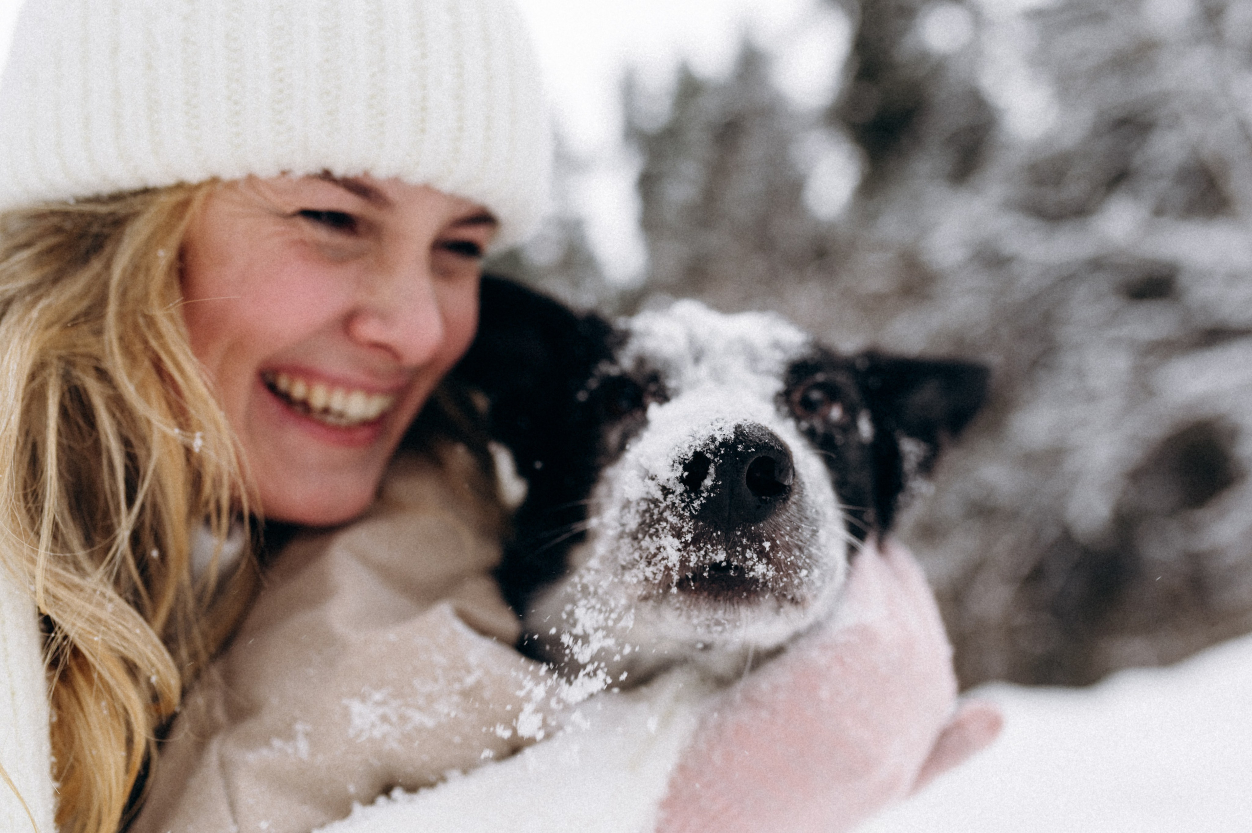 Аня и Милан. Фотограф анималист в Москве Ольга Агушева
