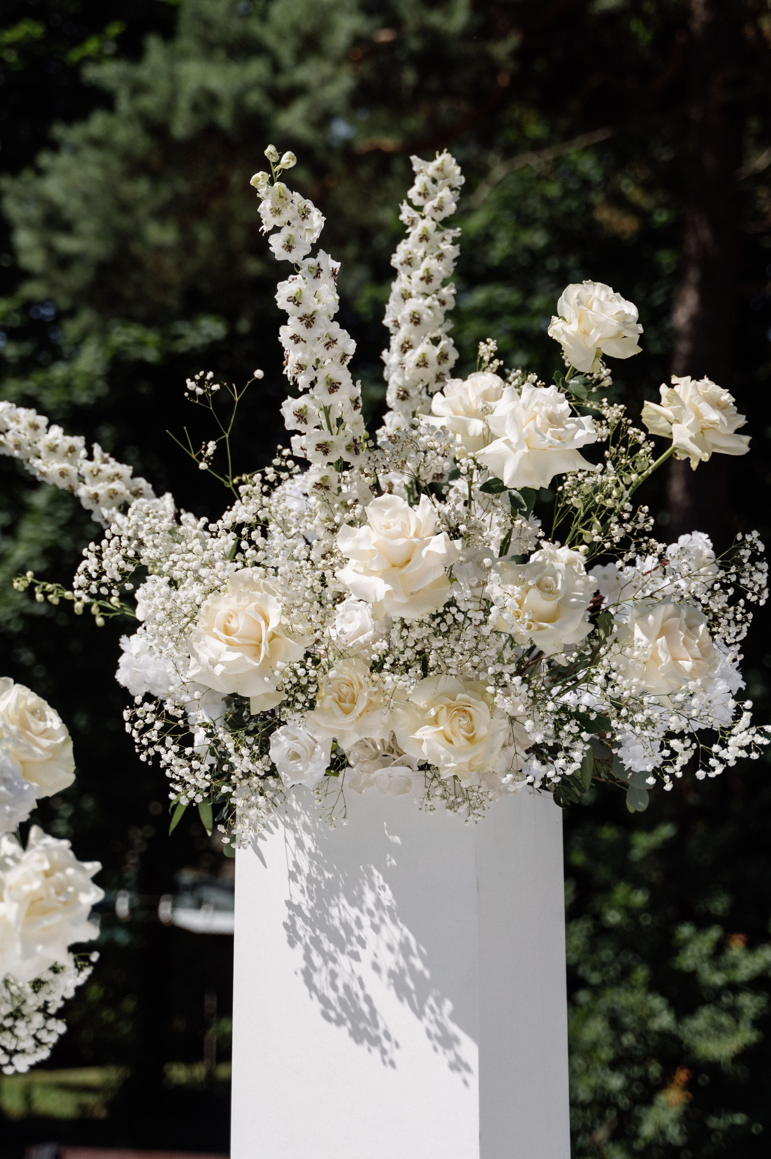 Петя и Вероника. Свадебный фотограф Минск