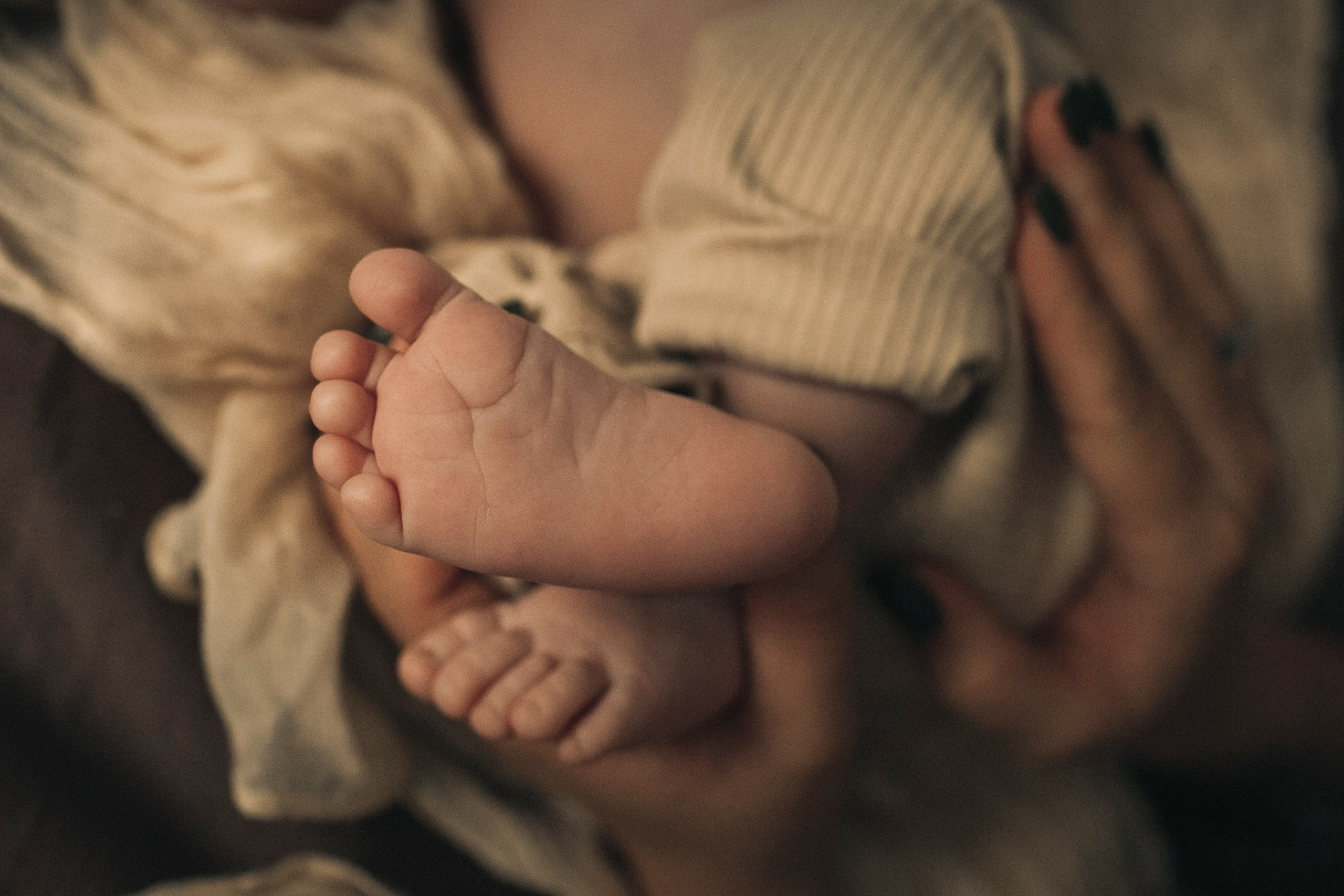 Матвей, Даша, Дима. Семейный фотограф Томск