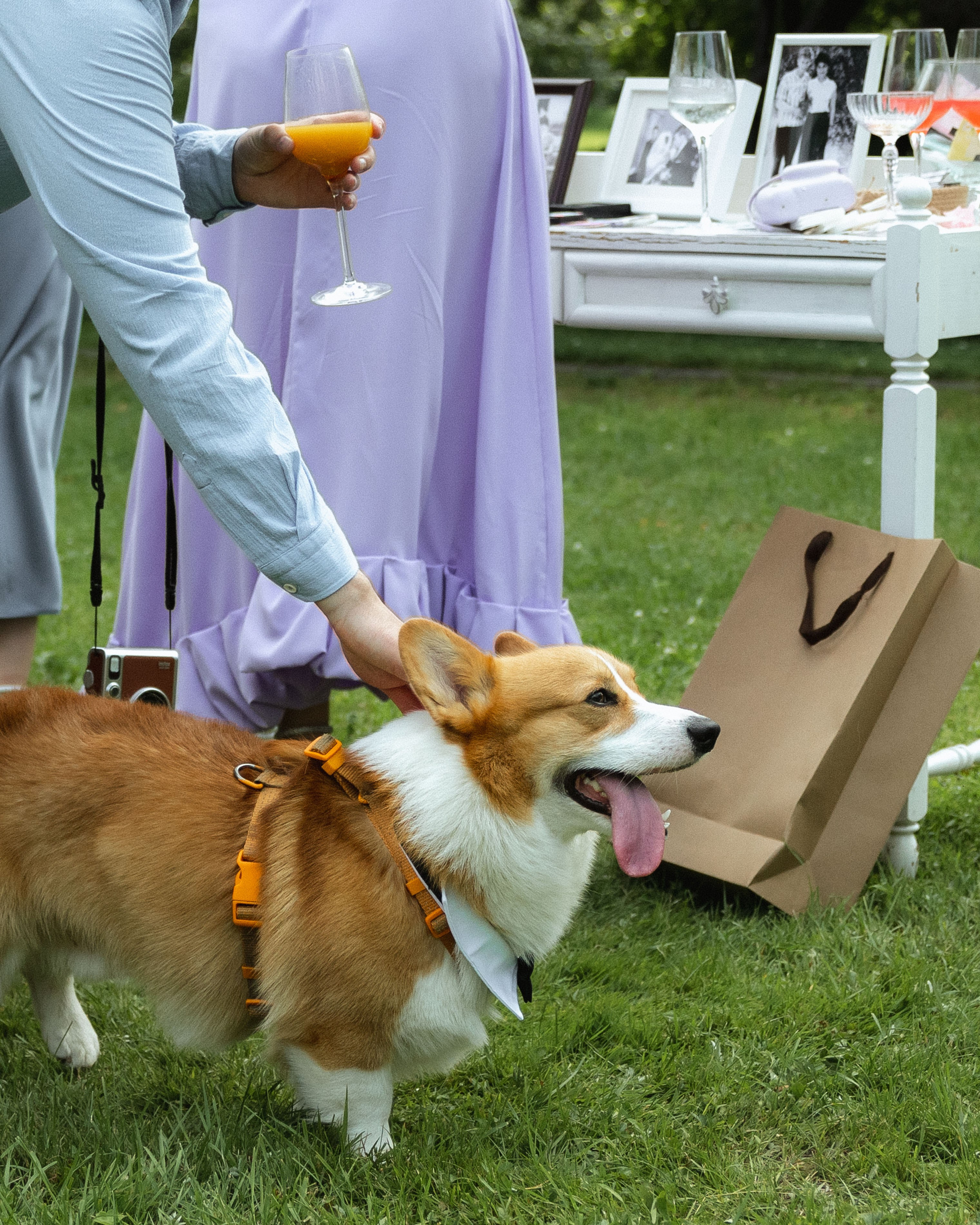 ТЫ — моё навсегда. Свадебный фотограф Ярославль, Рыбинск