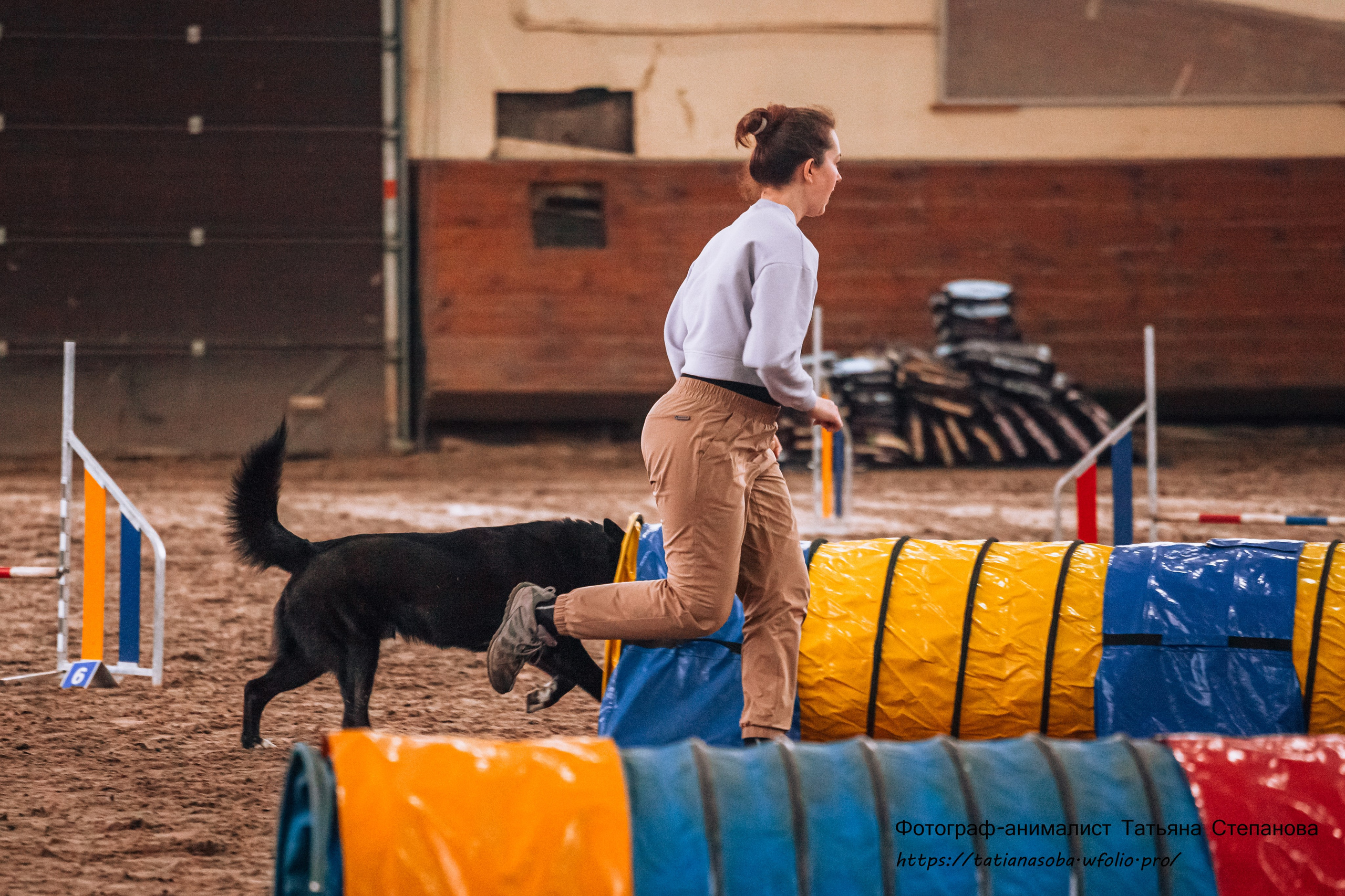 Соревнования по Аджилити 25.02.2024. Фотограф-анималист Татьяна Степанова