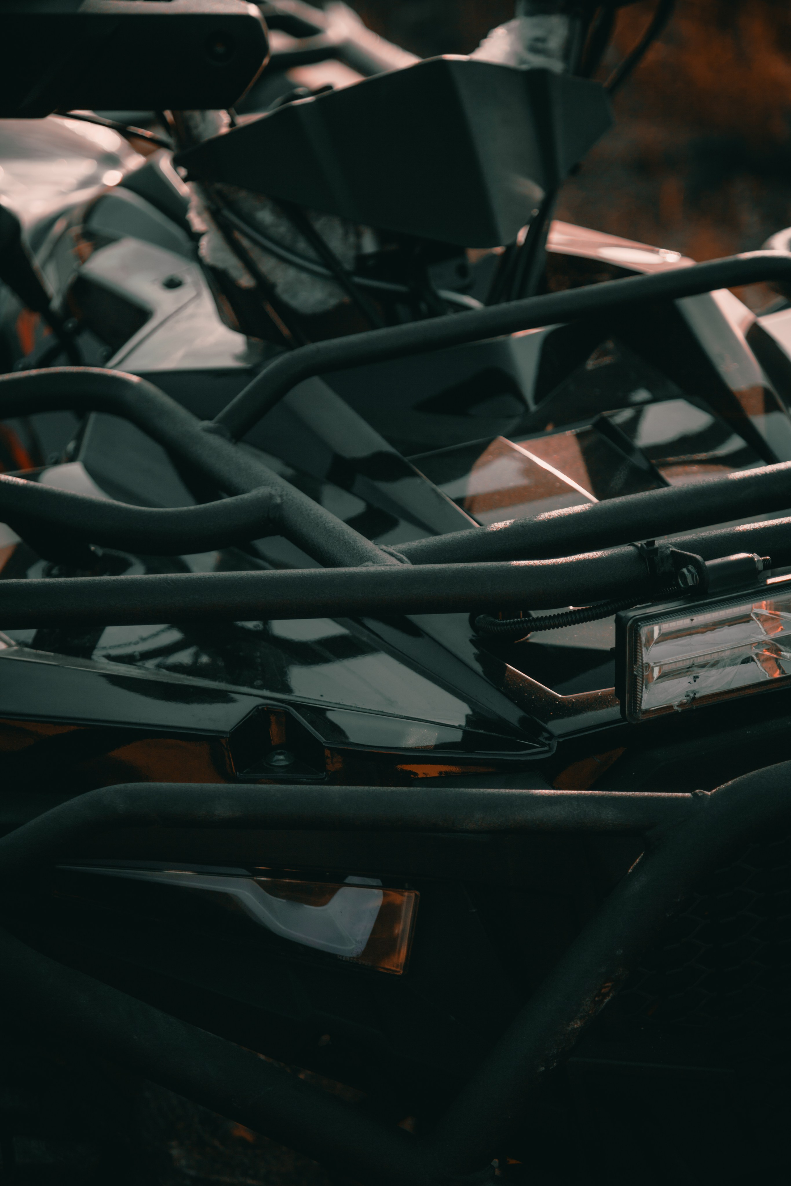 Контент. Фотограф Эльвина Серафимова