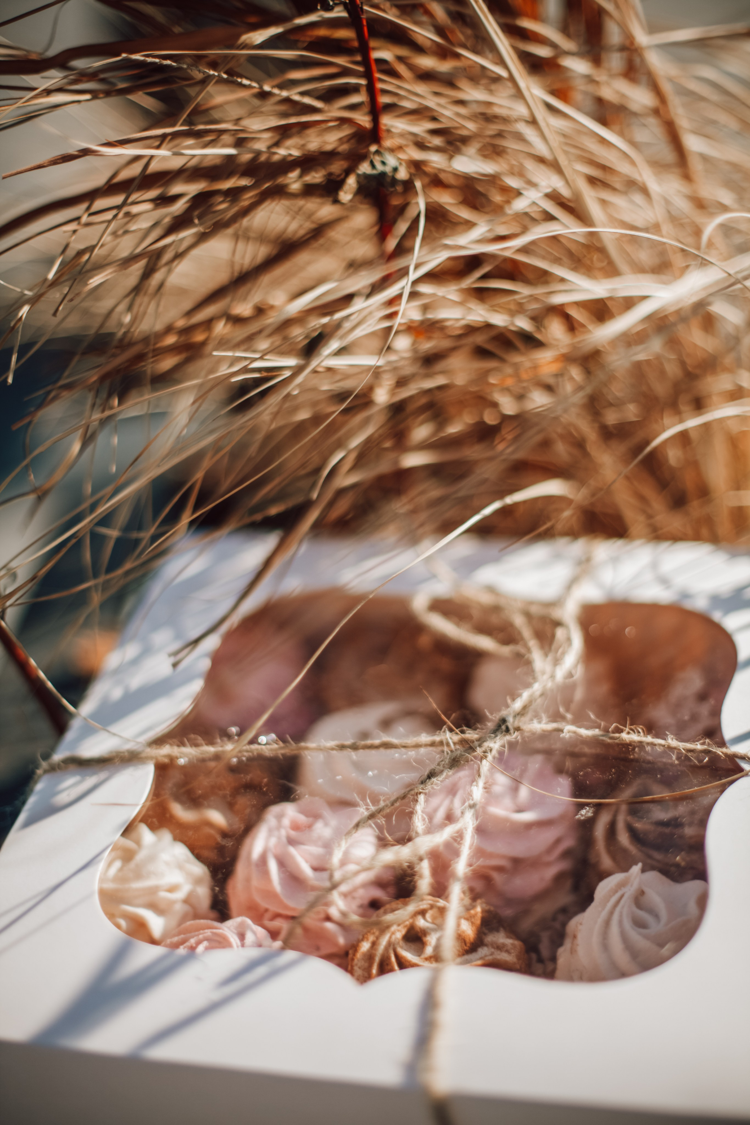 Контент. Фотограф Эльвина Серафимова