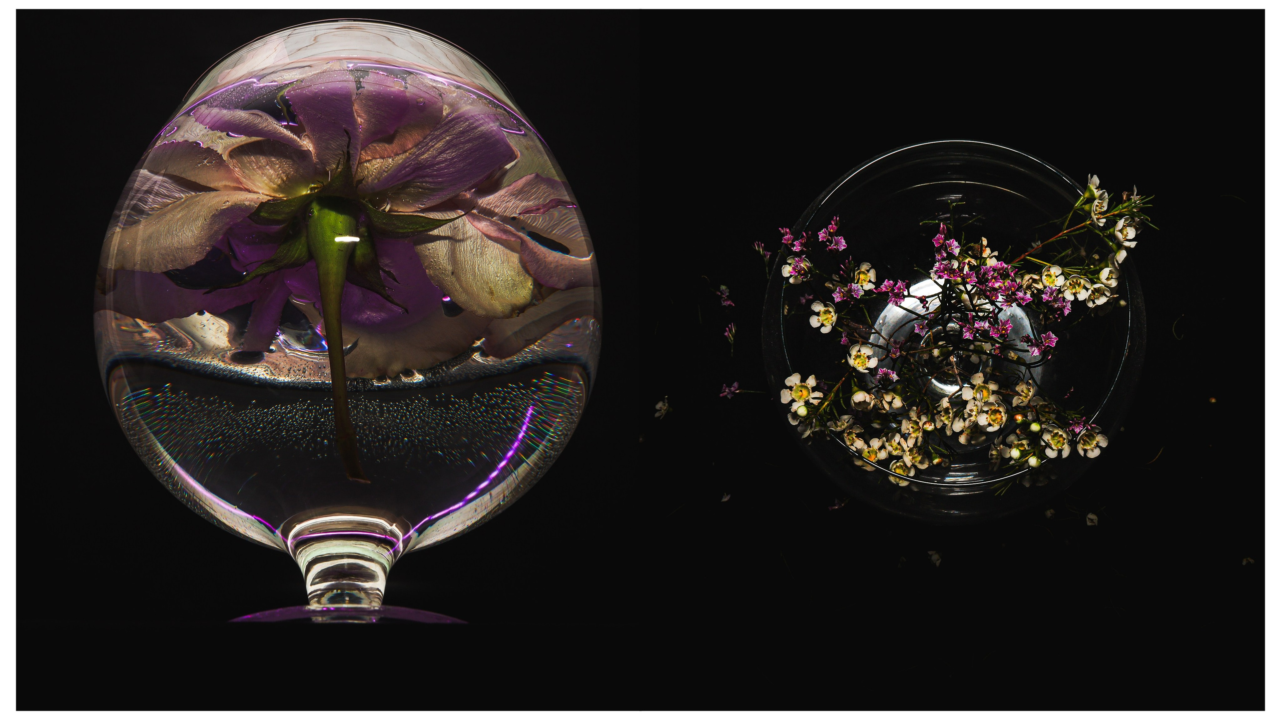 Пространства &. Фотохудожник в СПб