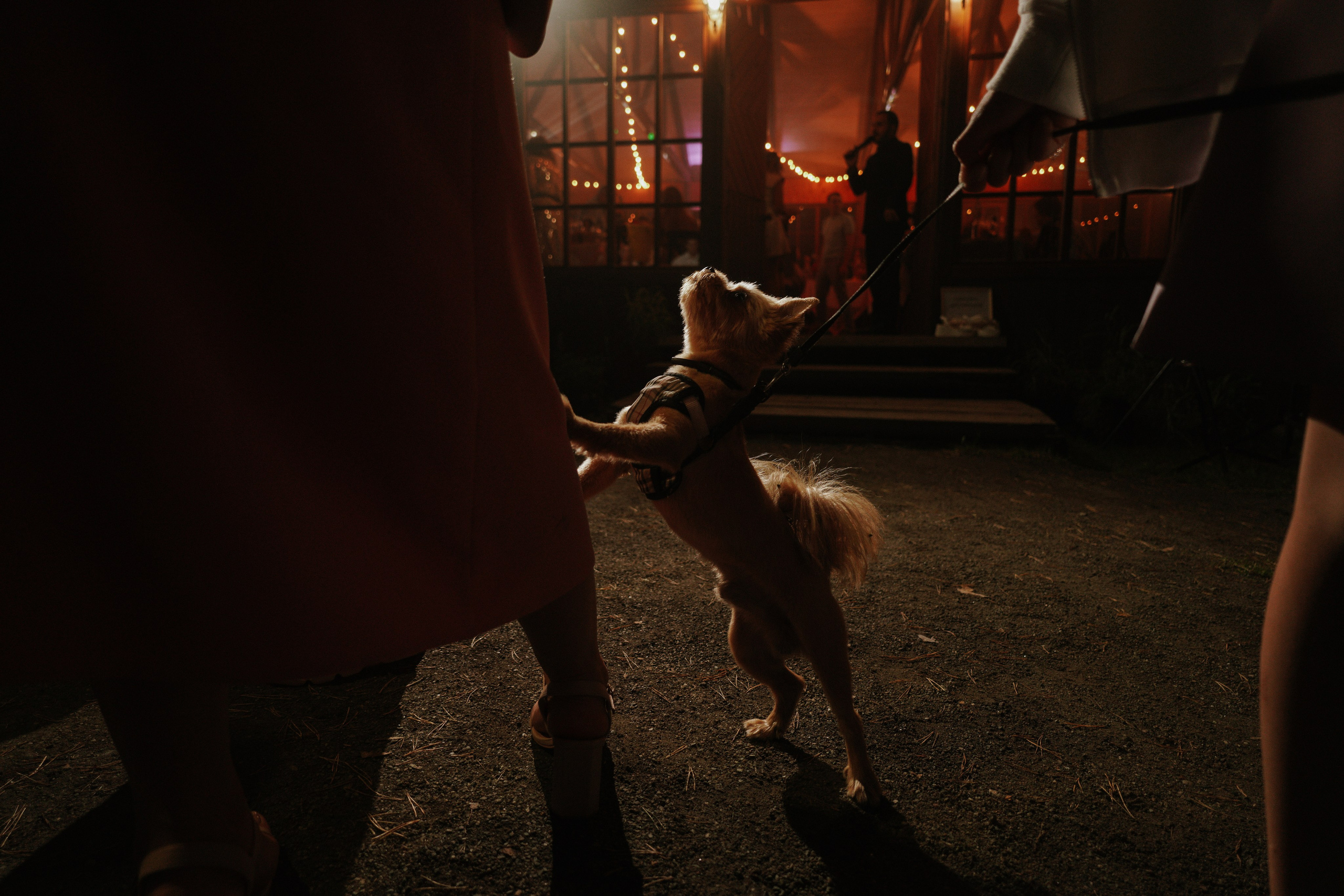 Влад и Даша. Организатор мероприятий в Абакане I Ольга Петухова