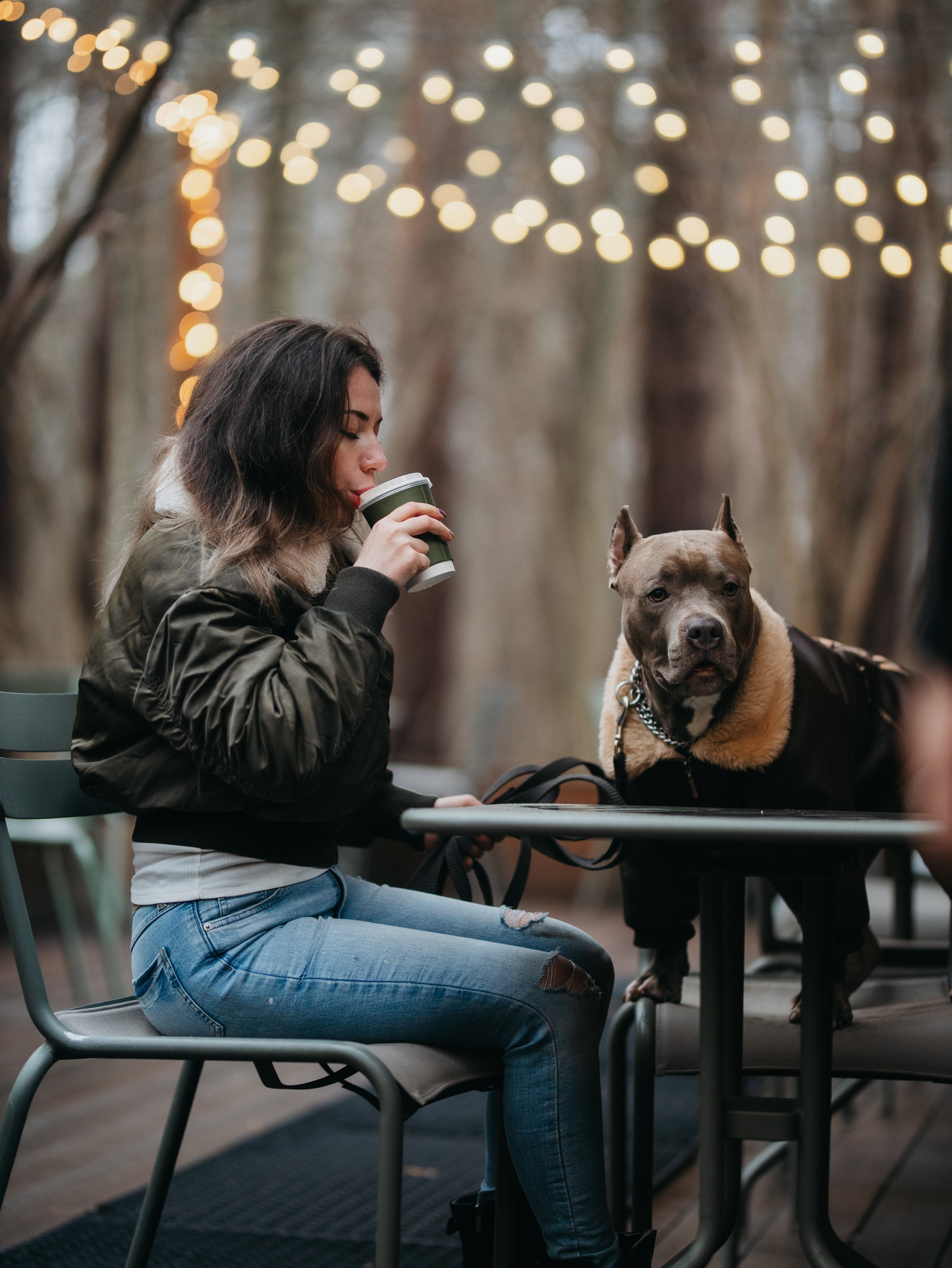 Зевс и Мария. Фотограф-анималист в Москве Кириллова Татьяна