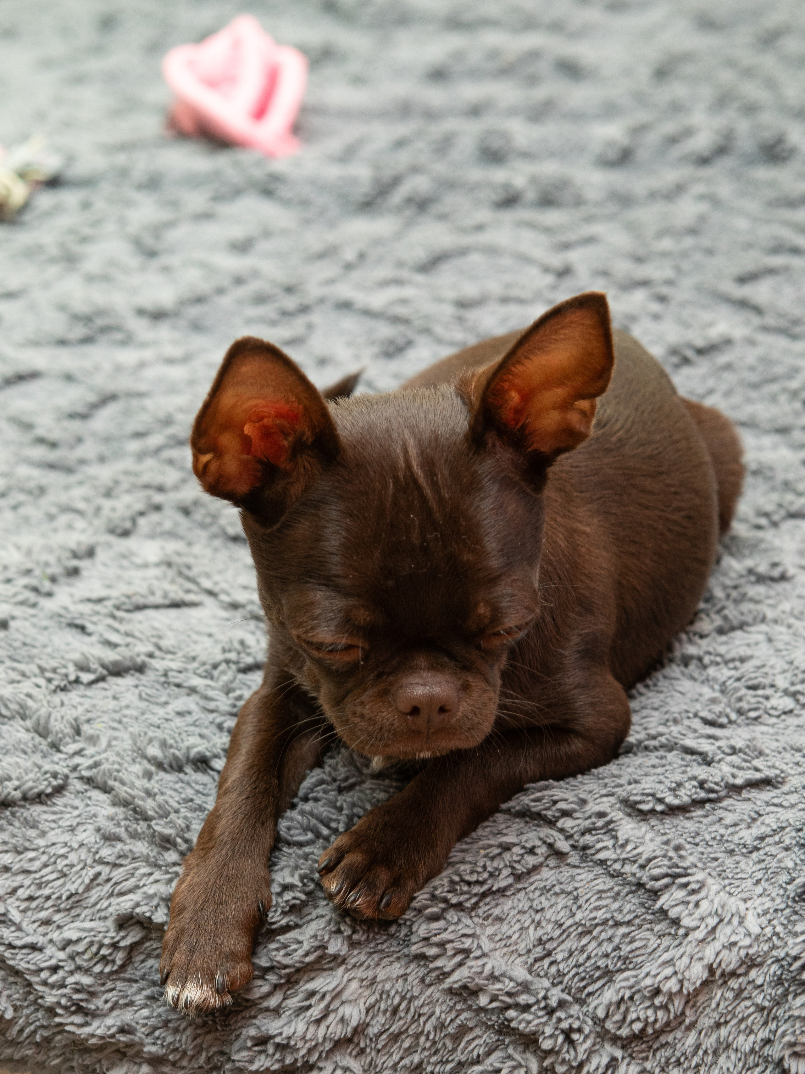 Серии. Предметный и семейный фотограф в Санкт-Петербурге Катерина Стеклова