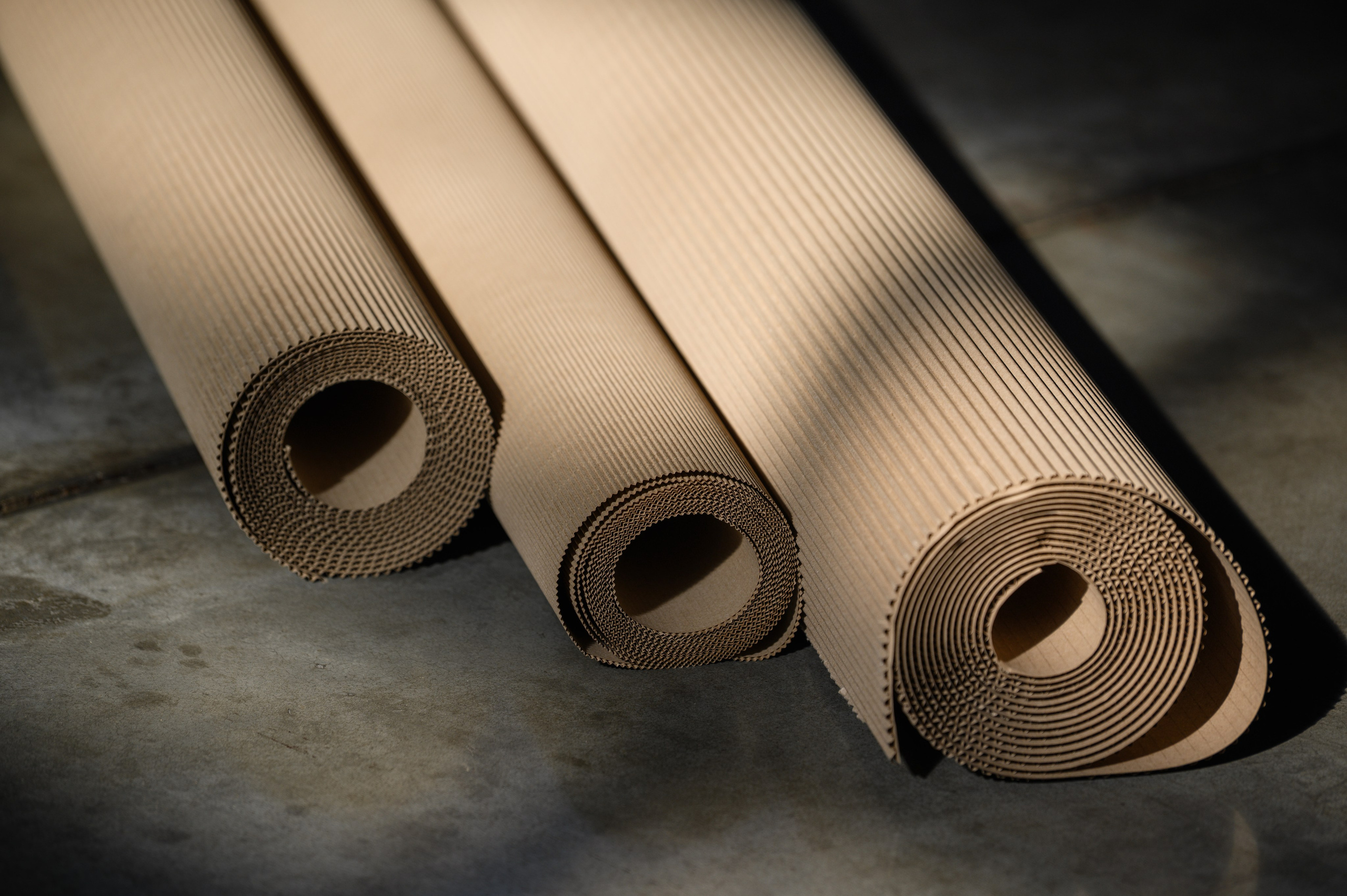 Проекты. Профессиональный фотограф Вячеслав Плацында | Липецк |