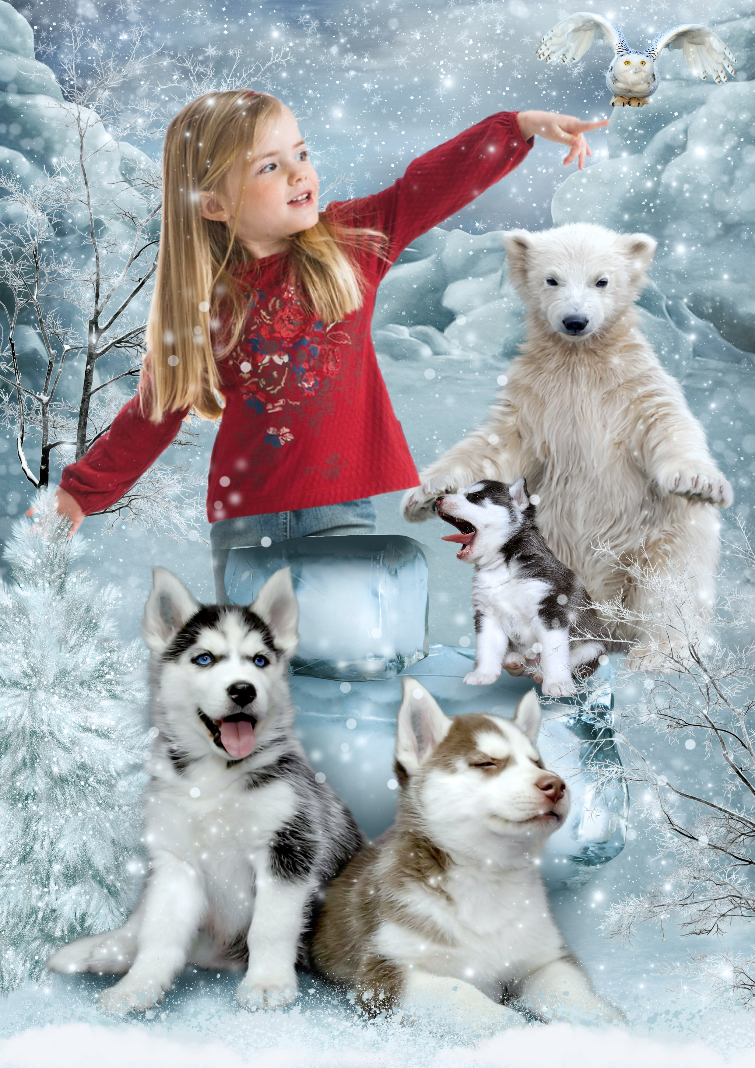 Новый год. Выпускные фотокниги, фотосъемка, видеосъемка в Челябинске и области