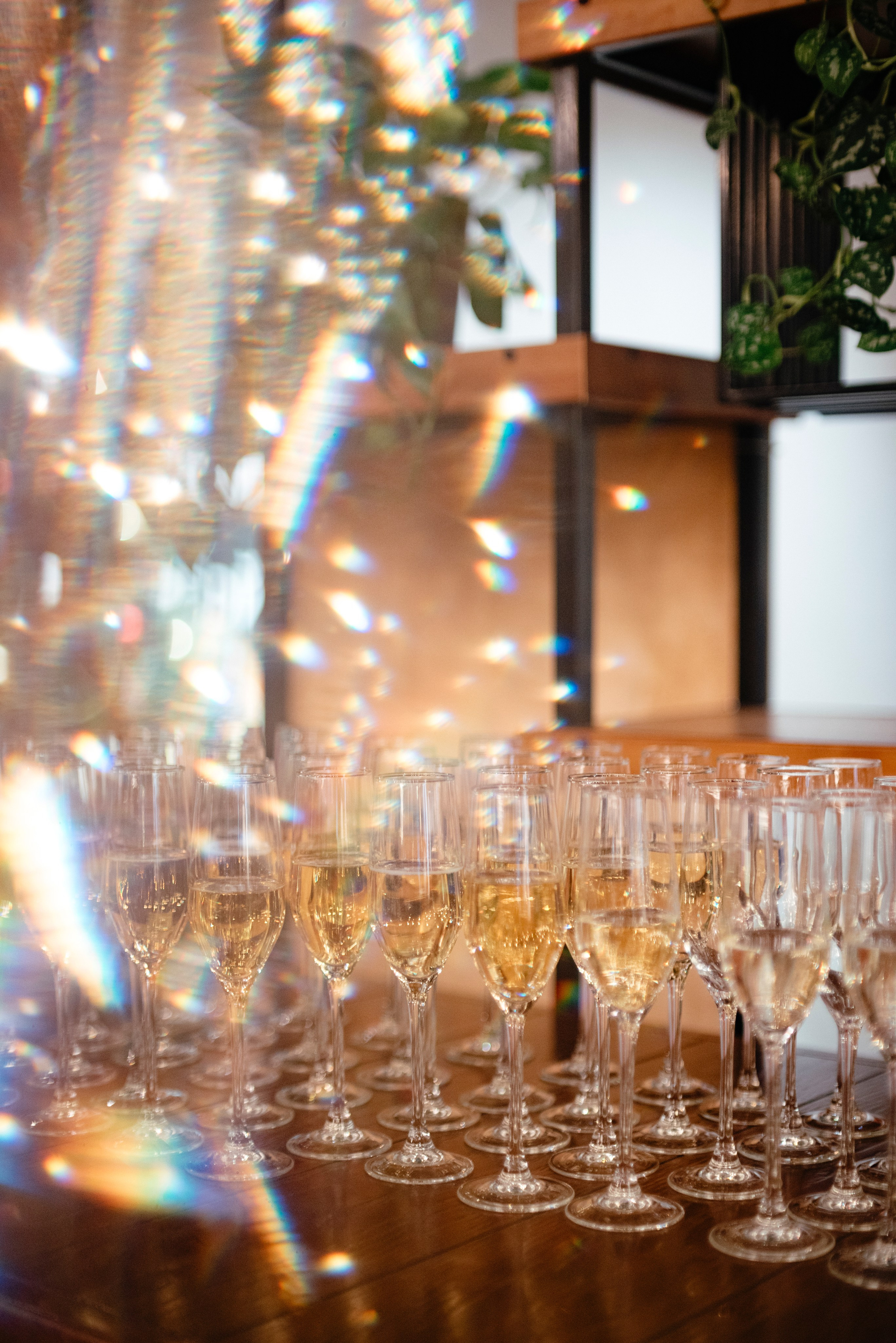 СДЭК // 2025 Корпоратив. Фотограф Элина Брусенцева