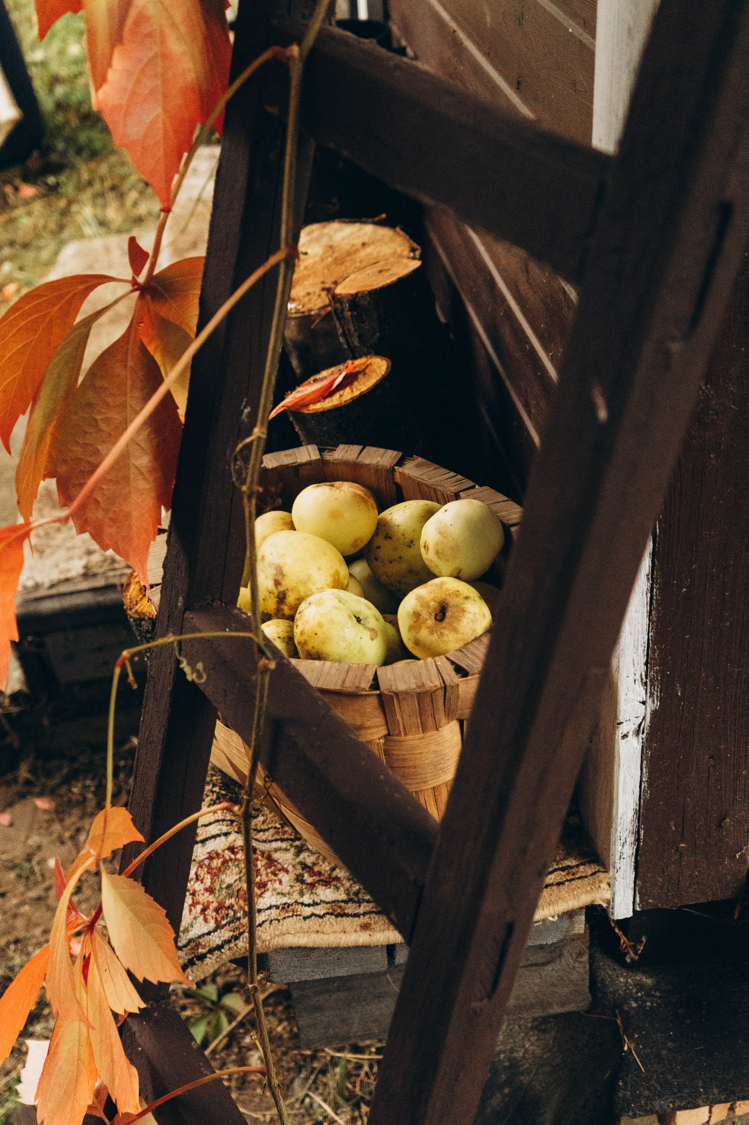 Съемка студии «Аж уютно». Фотограф Москва Валерия Веденина