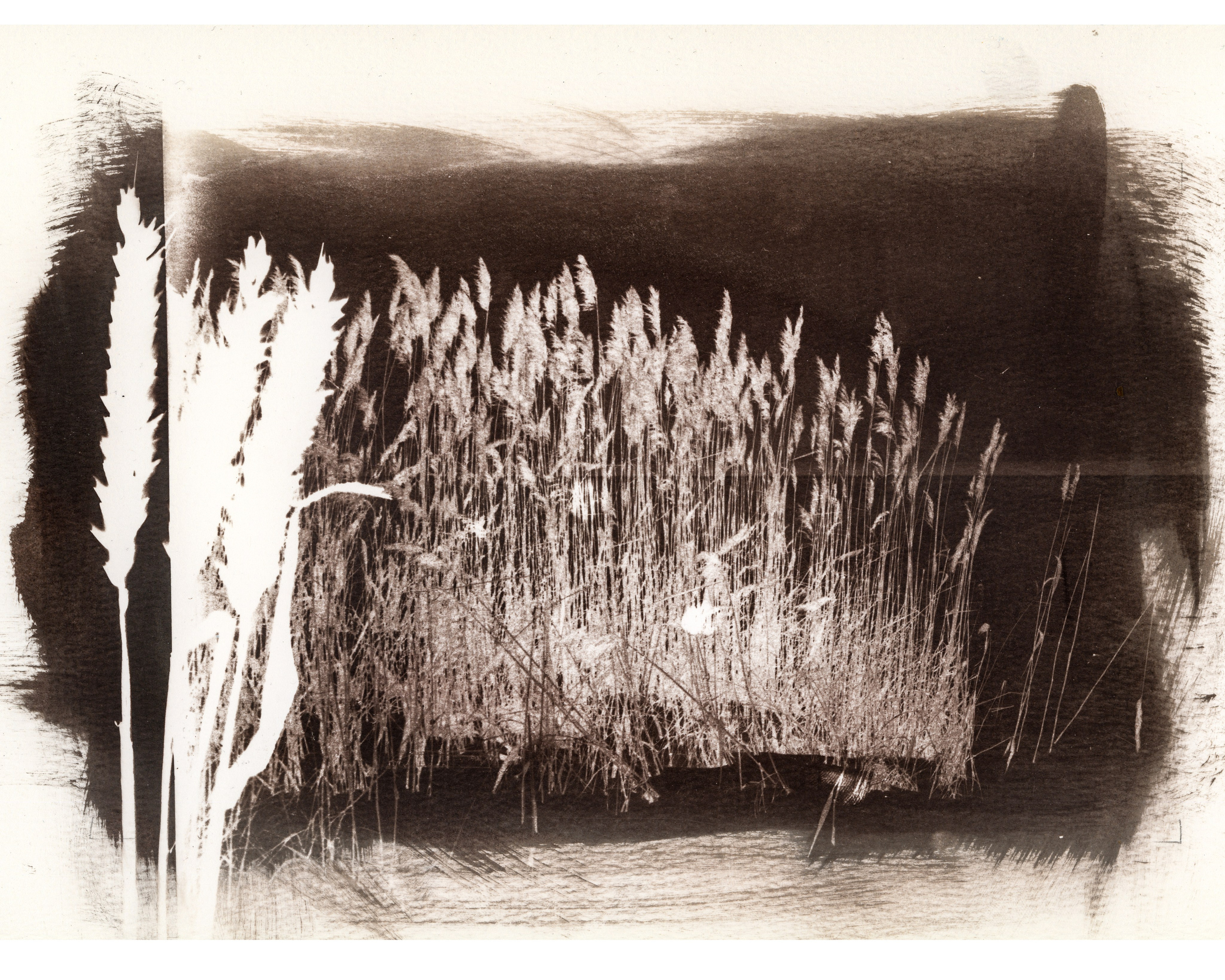 Alternative processes | gumoil | cyanotype | van dyke. Darkroom aesthetics