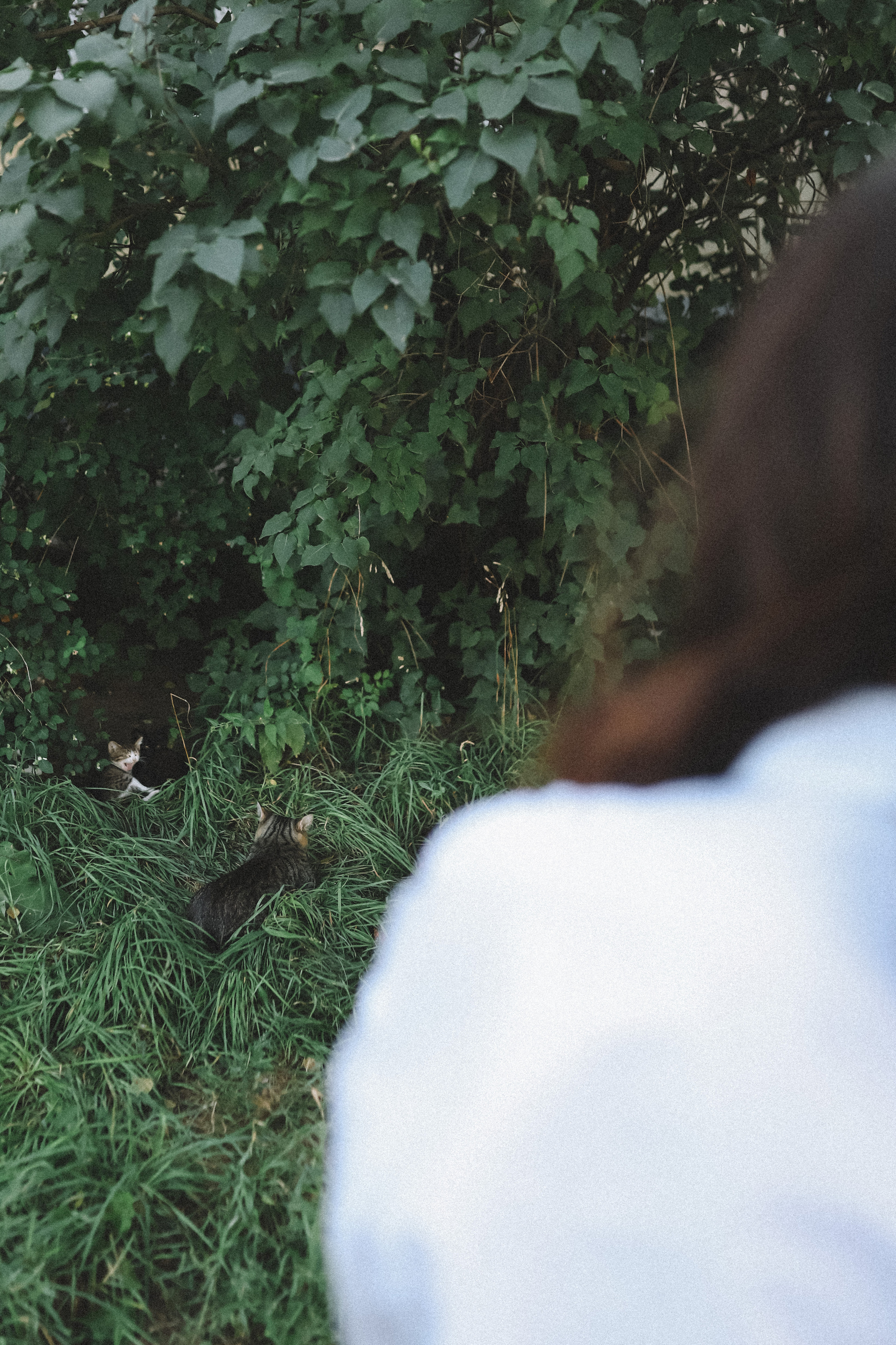 Василиса. Фотограф в Нижнем Новгороде Кристина Батанова